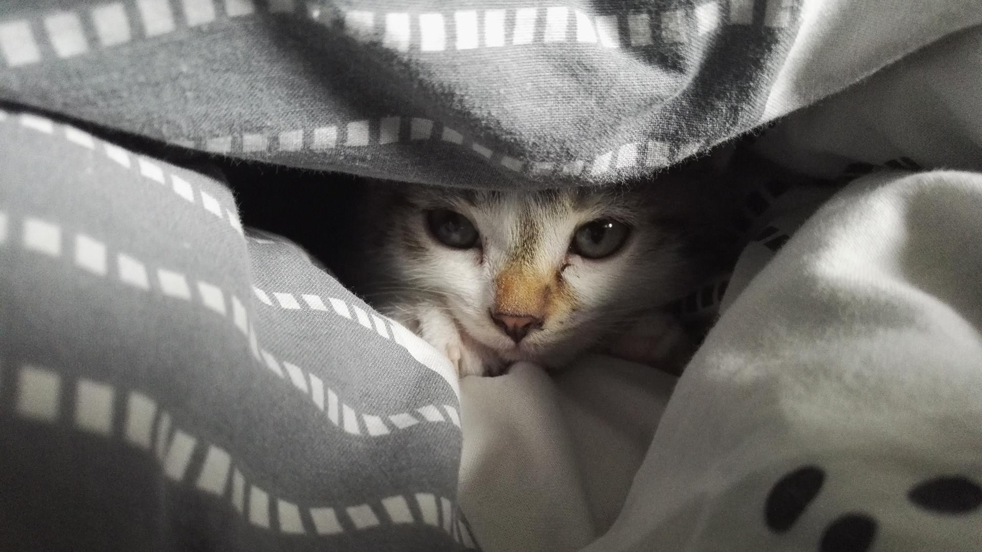 Фото: freepik.com/wirestock