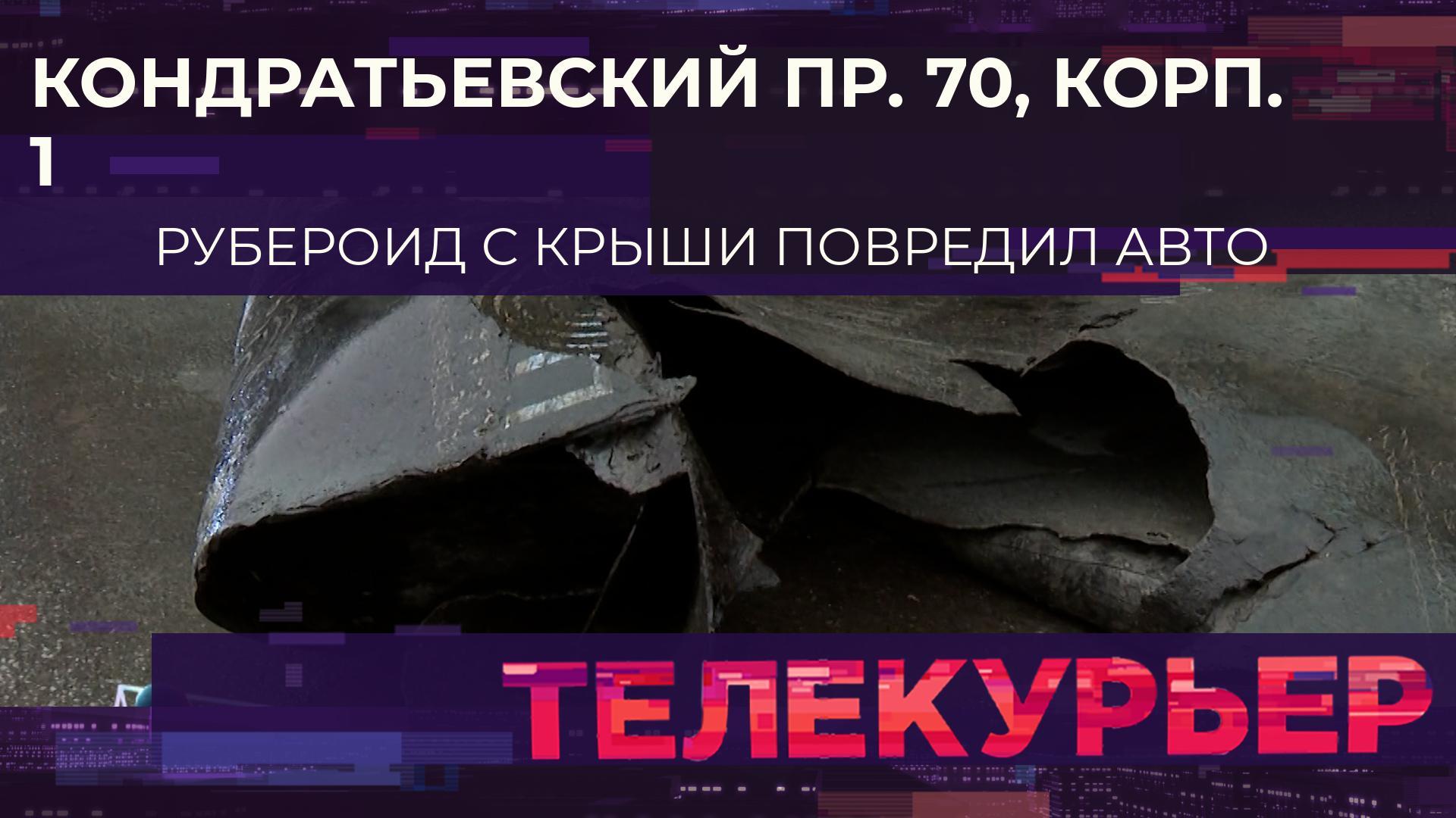 «Телекурьер» (29 ноября 2024)