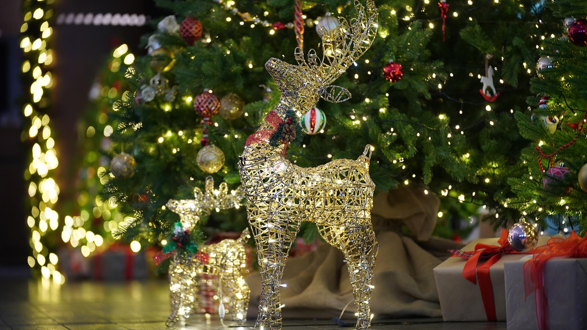 Фото: ИЗВЕСТИЯ/Сергей Лантюхов