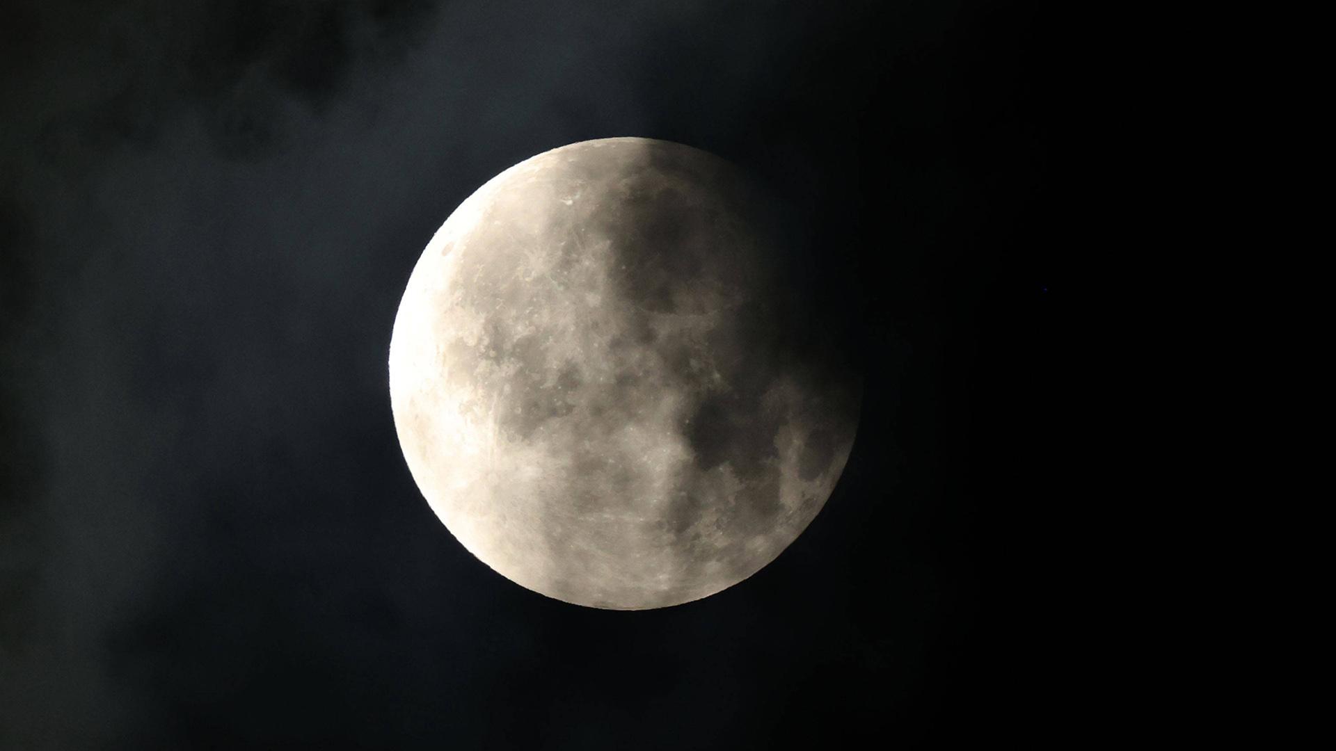 Фото: IMAGO/Paul Marriott/globallookpress.com