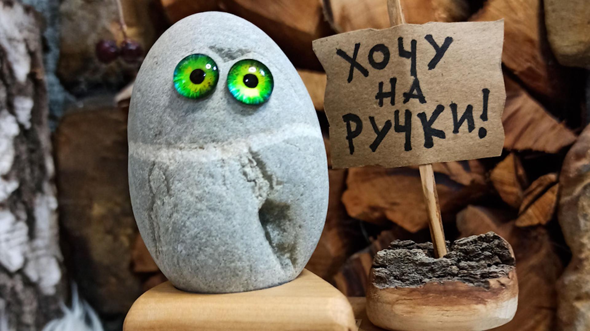 Фото: соцсети