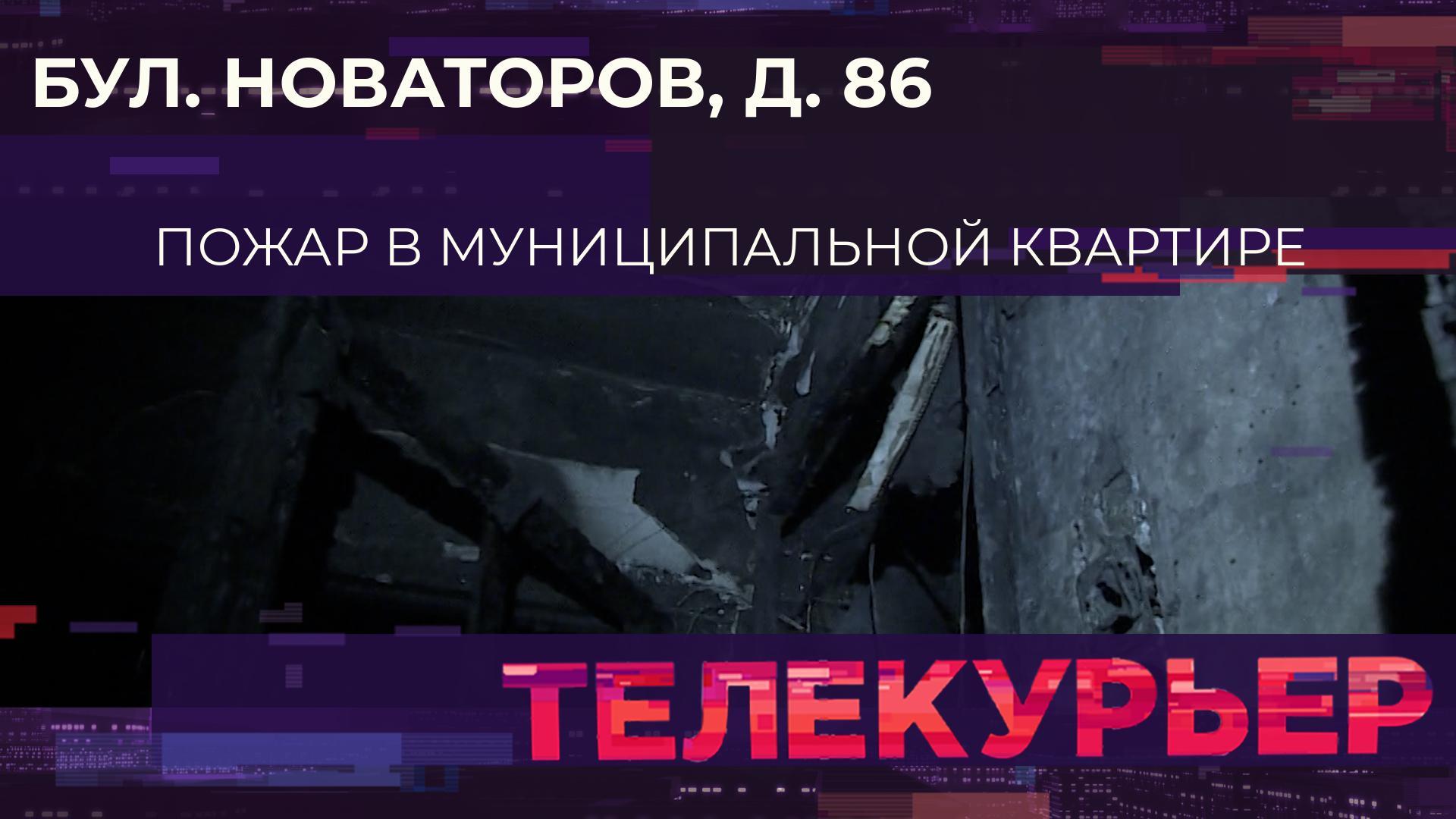 «Телекурьер» (24 декабря 2024)