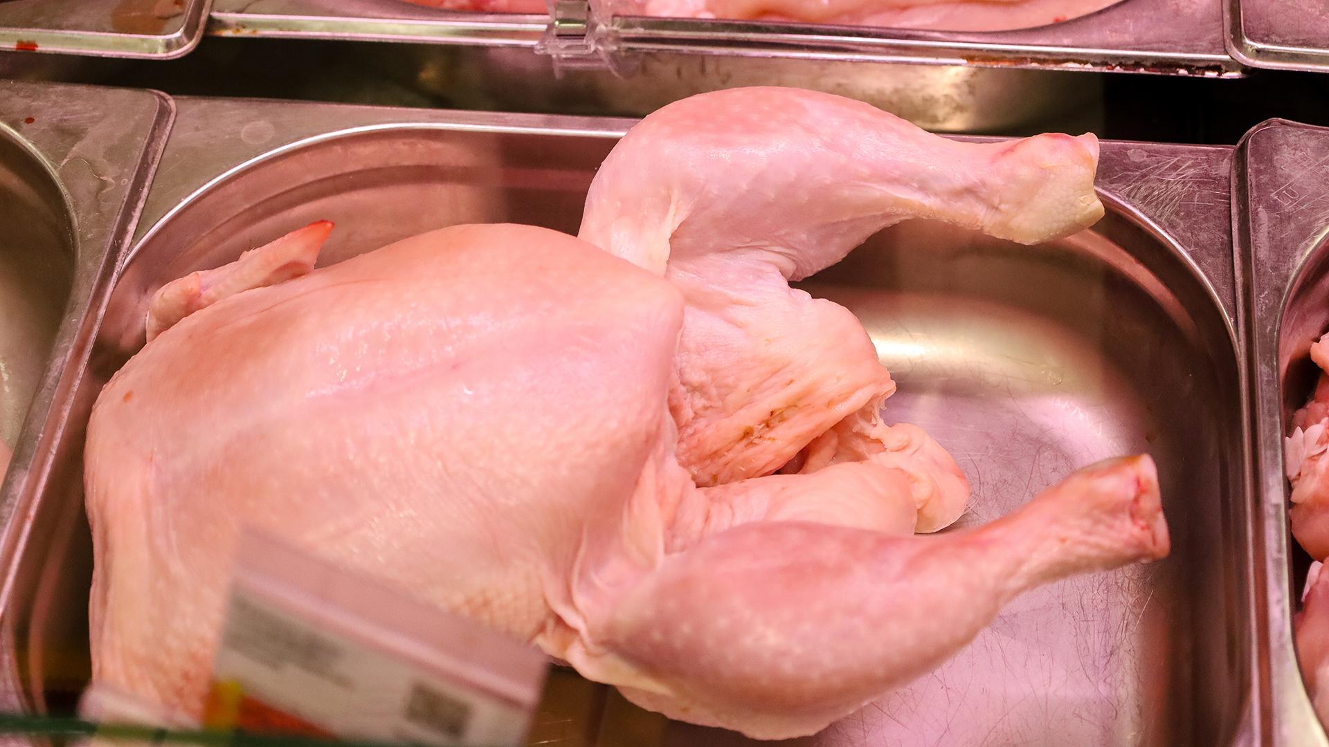 Фото: Elena Mayorova/globallookpress.com