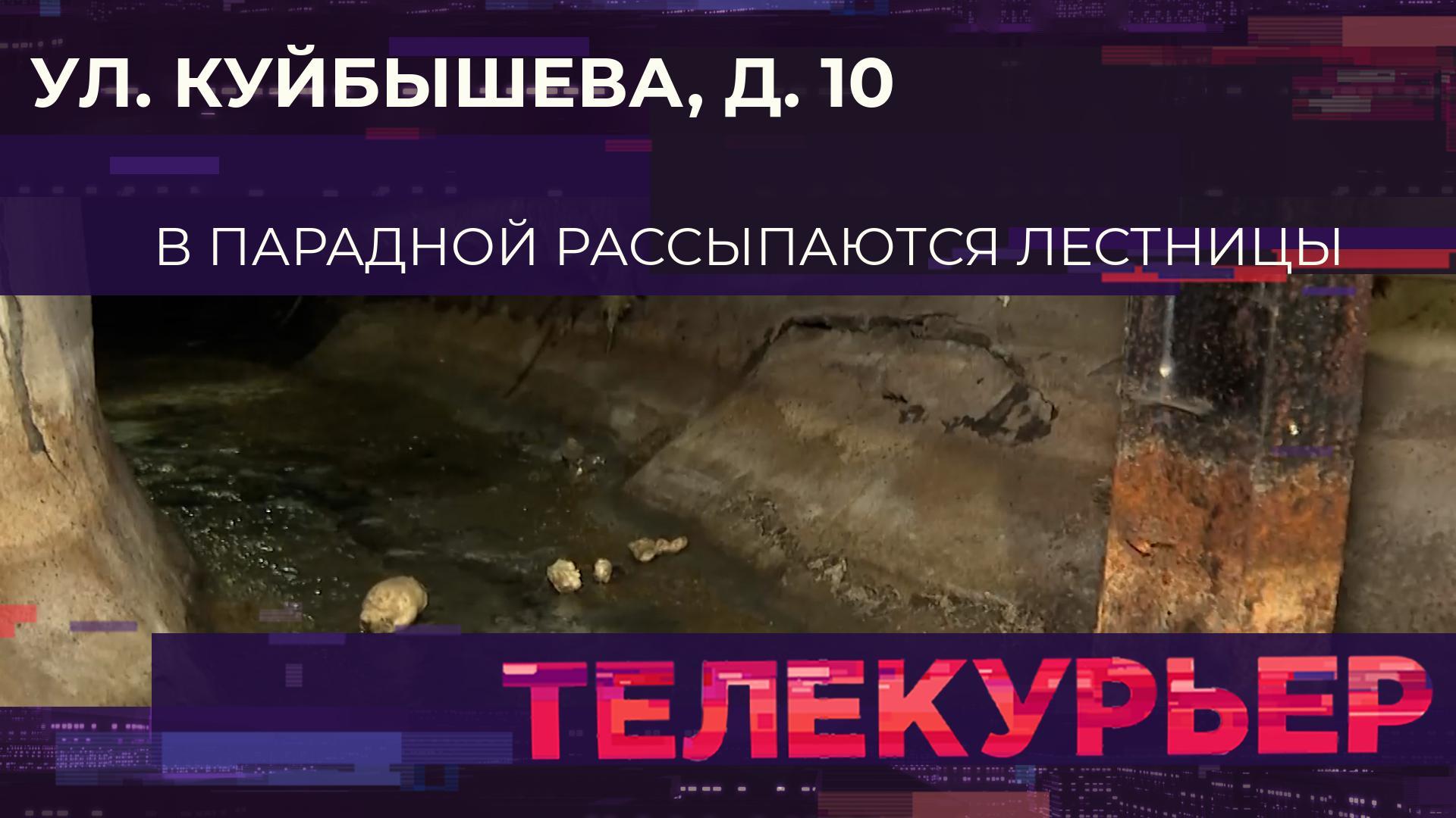 «Телекурьер» (3 декабря 2024)