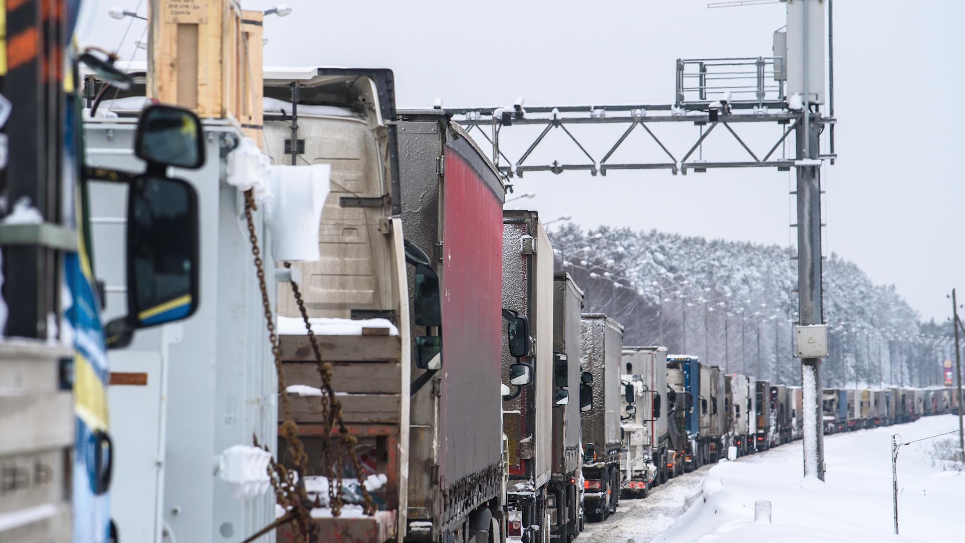 Фото: Ilya Moskovets/globallookpress.com