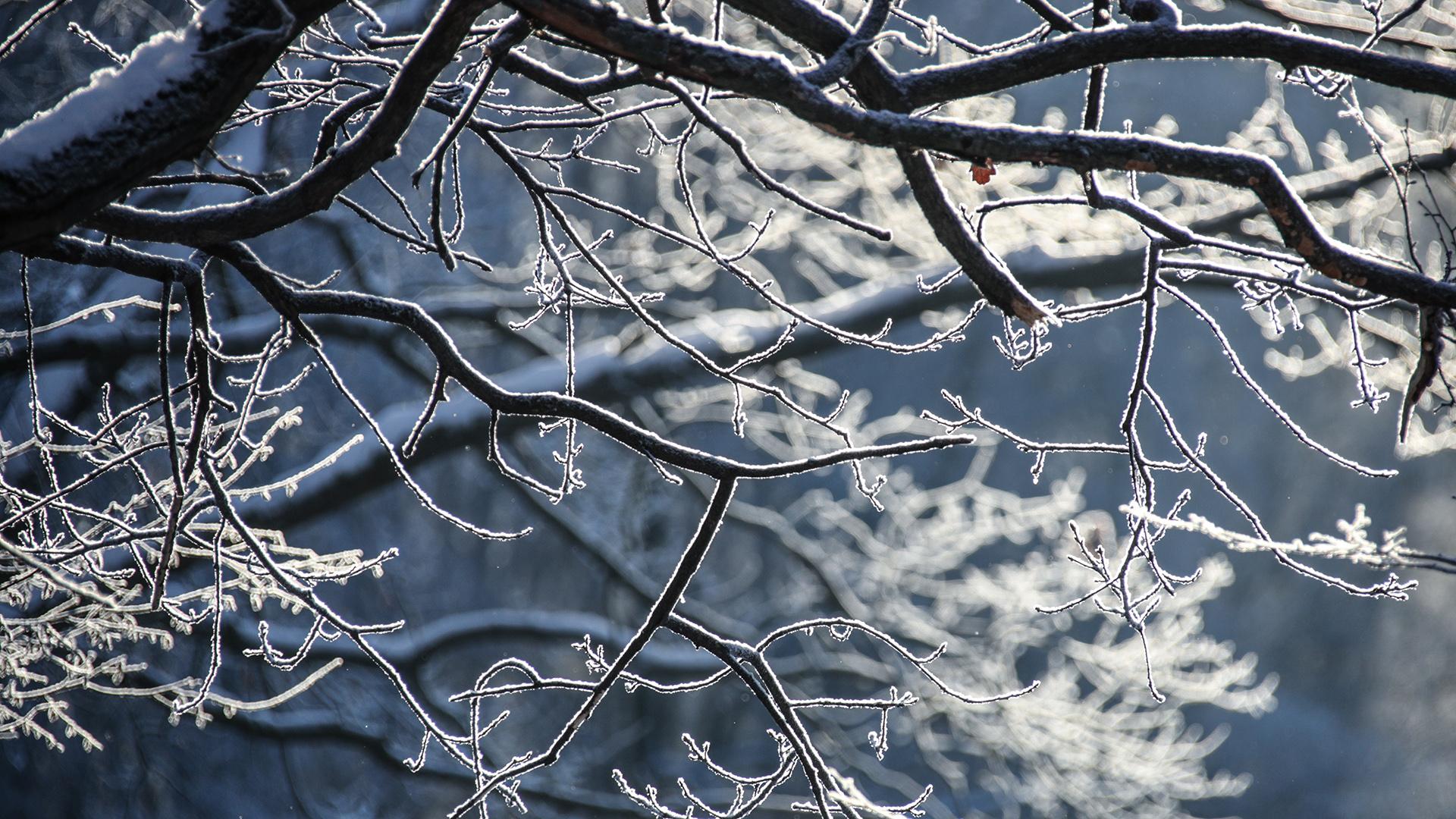 Фото: Lantyukhov Sergey/globallookpress.com