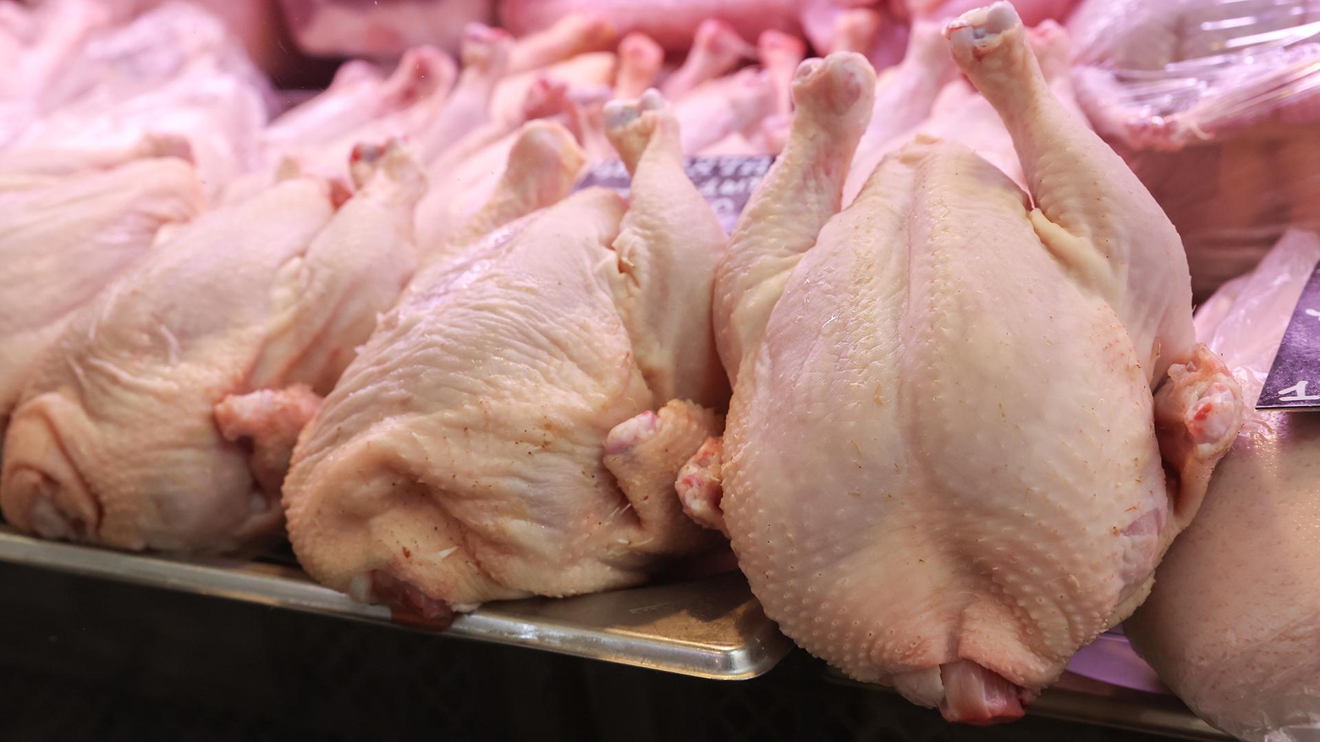 Фото: Petrov Sergey/globallookpress.com