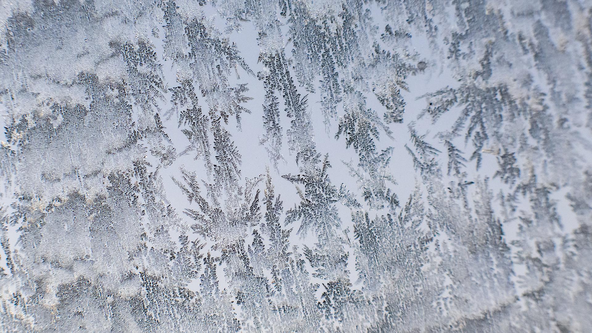 Фото: Julian Stratenschulte/globallookpress.com