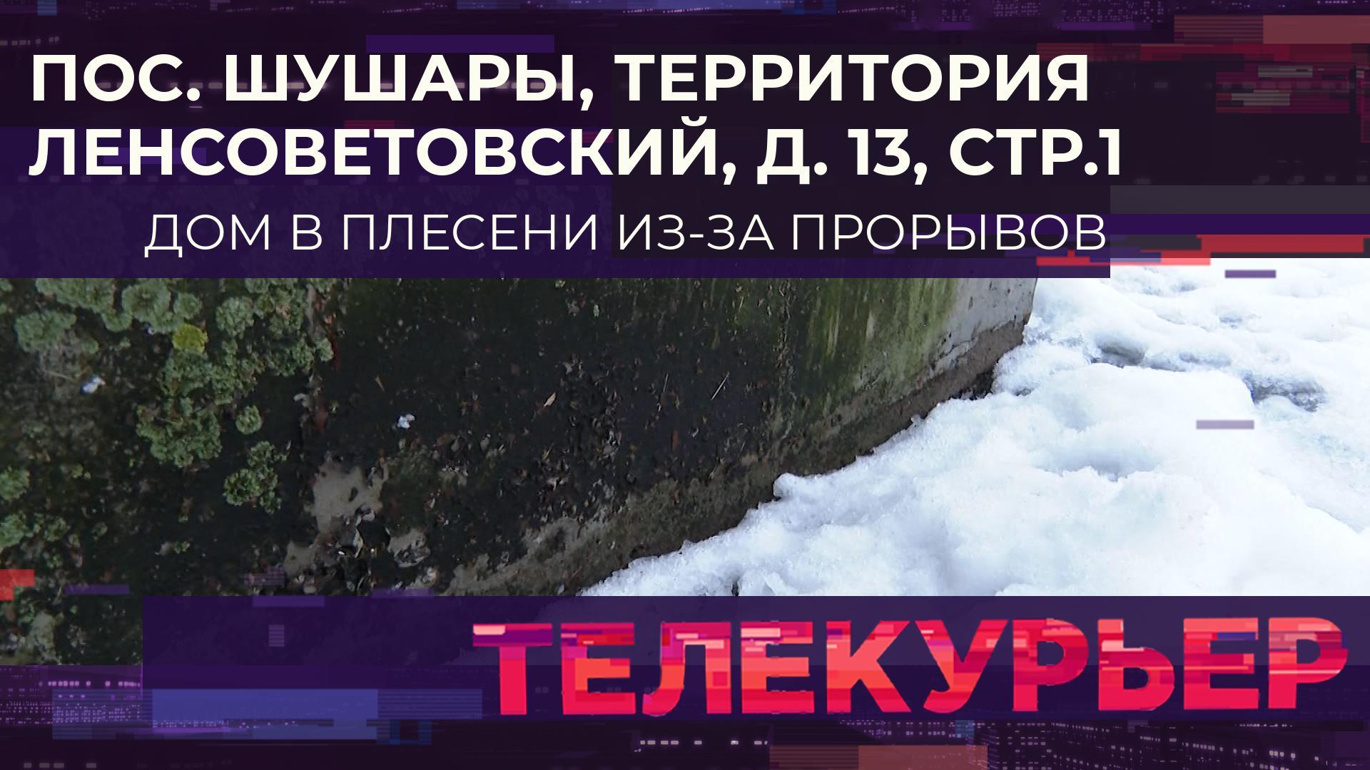 «Телекурьер» (13 января 2025)