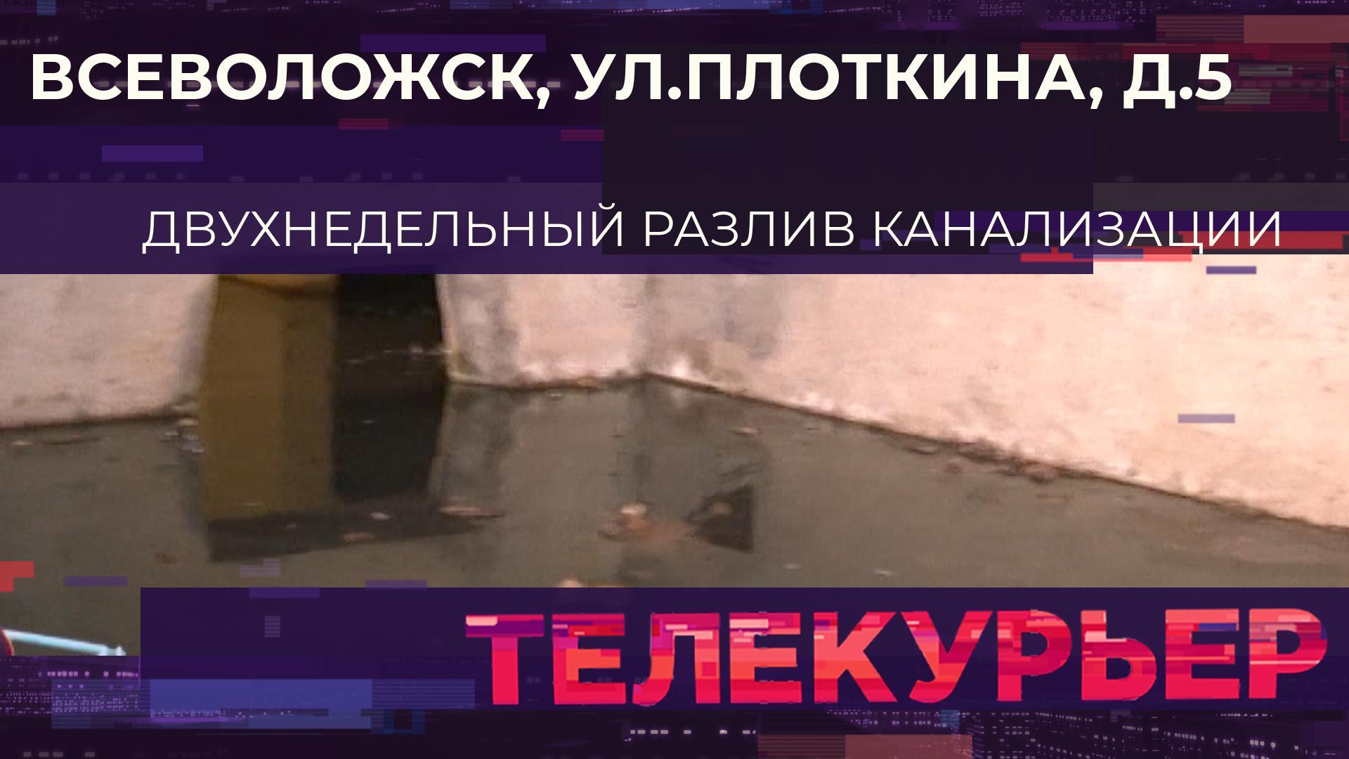 «Телекурьер» (15 января 2025)