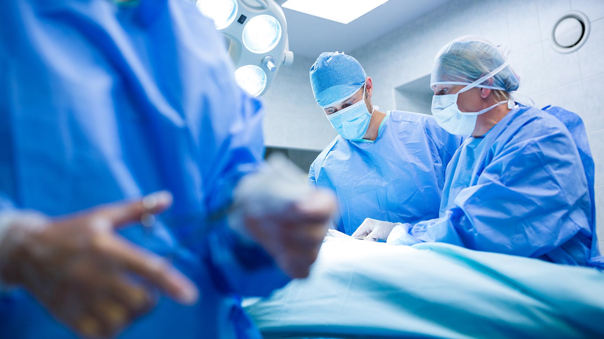 Фото: freepik.com/peoplecreations