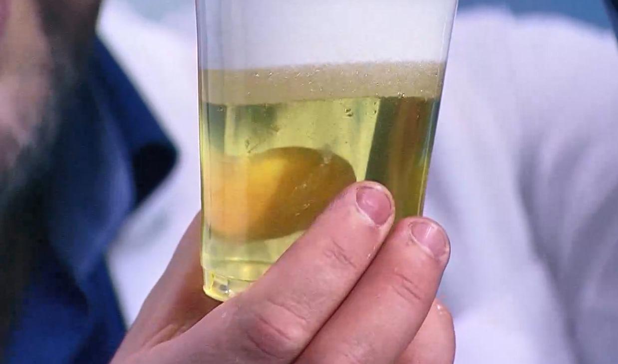 Образец № 1 // фото: 78.ru