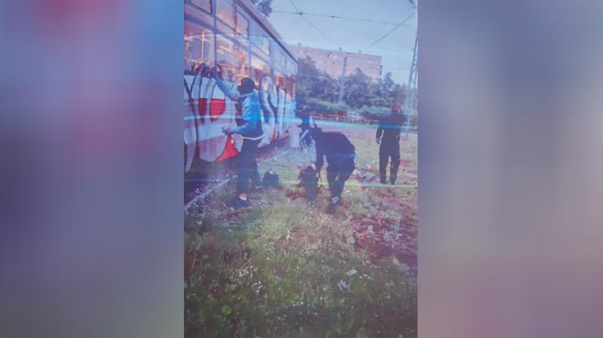 Фото: t.me/SPbGS