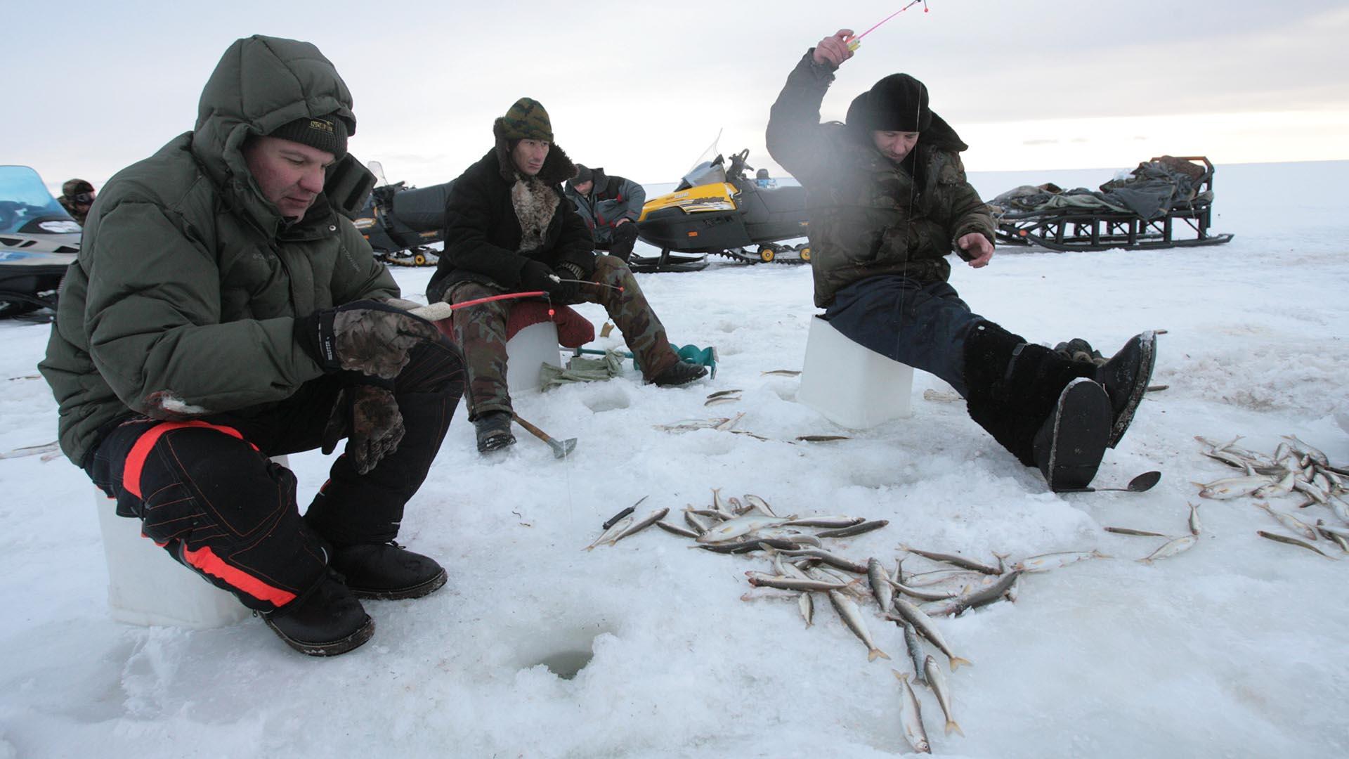 Фото: ИЗВЕСТИЯ/Владимир Суворов