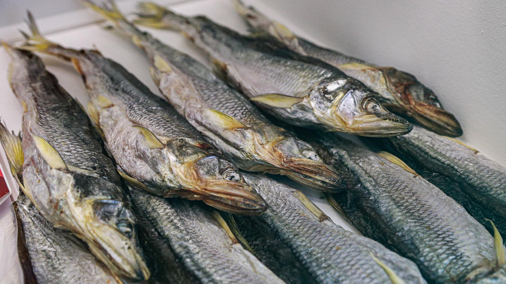 Фото: Bulkin Sergey/globallookpress.com