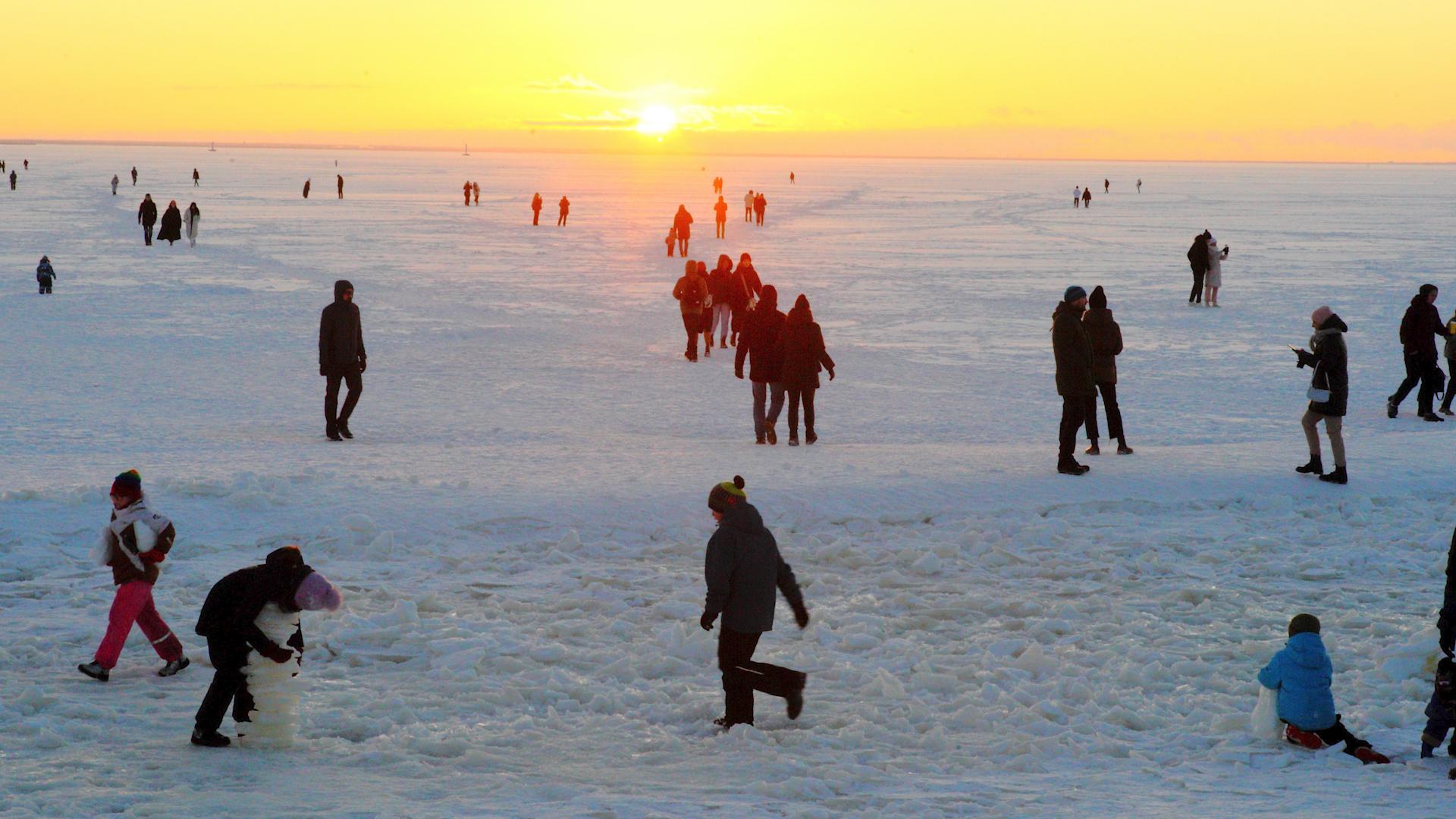 Фото: Zamir Usmanov/globallookpress.com