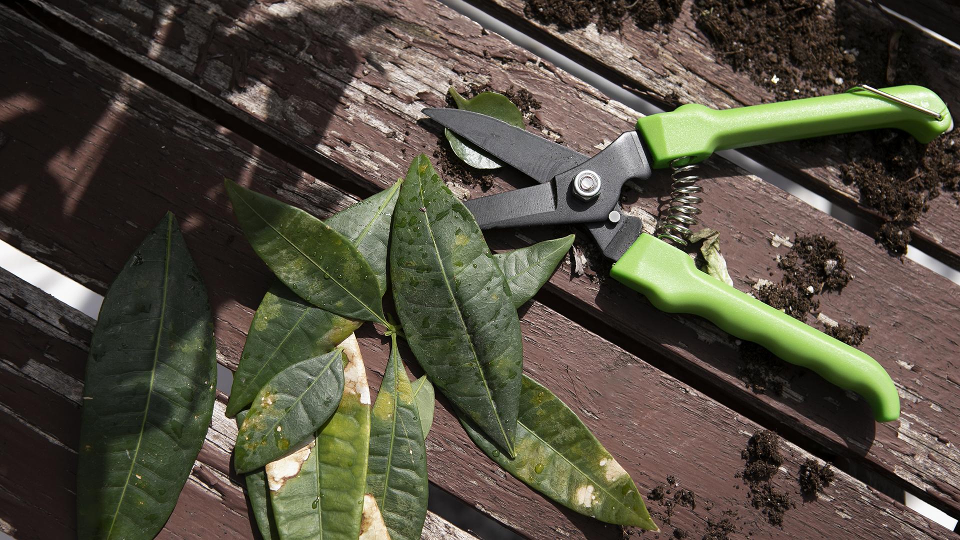 Фото: freepik.com