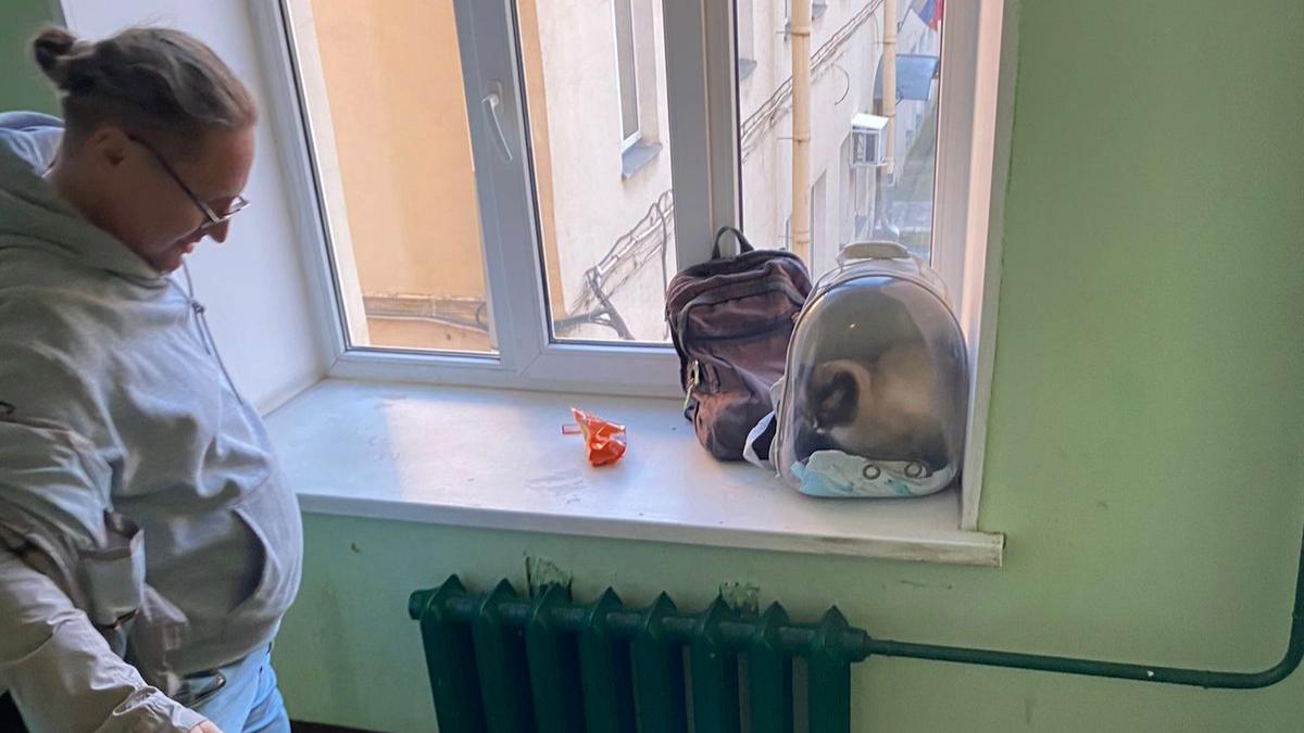 Фото: ГУФССП России по Санкт-Петербургу