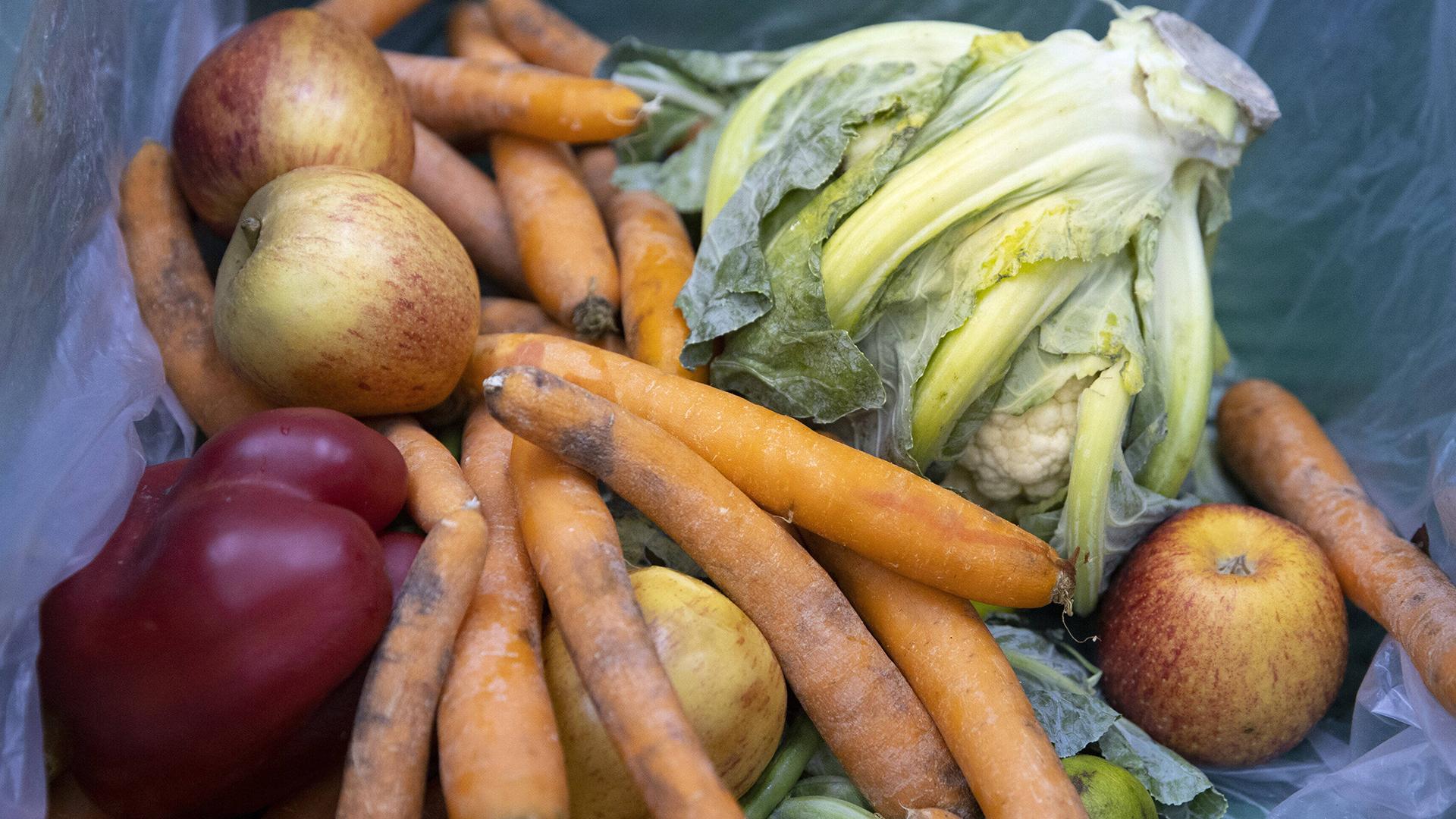 Фото: Ute Grabowsky/photothek.net/globallookpress.com