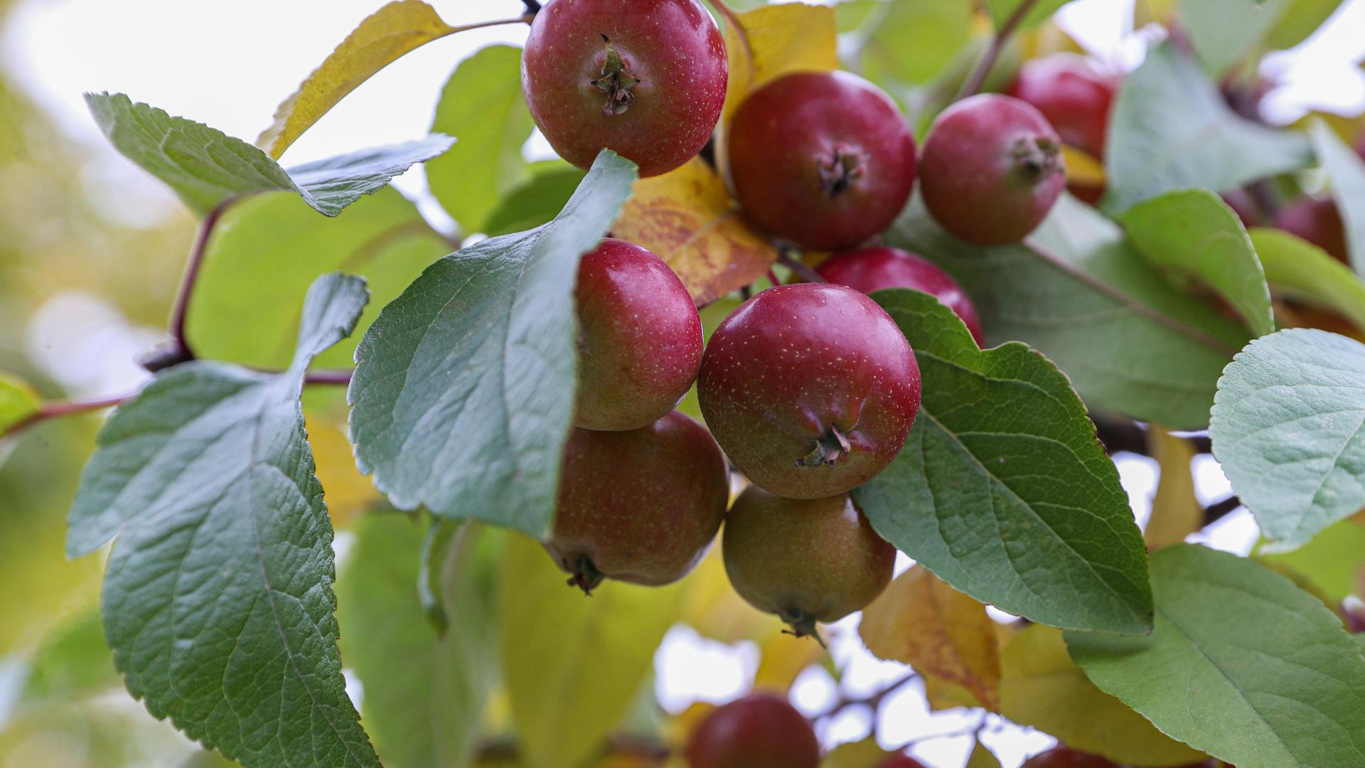 Фото: Bulkin Sergey/news.ru