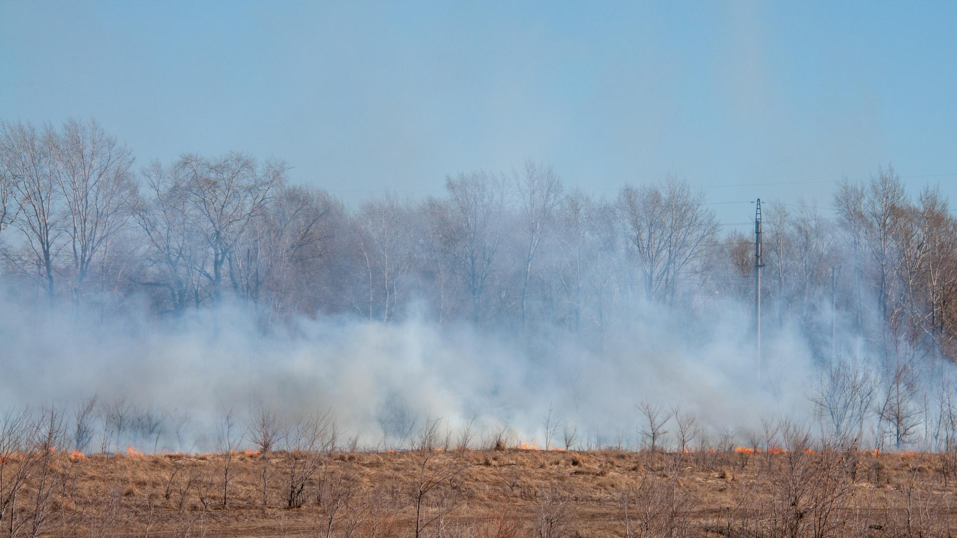 Фото: Svetlana Vozmilova Global Look Press