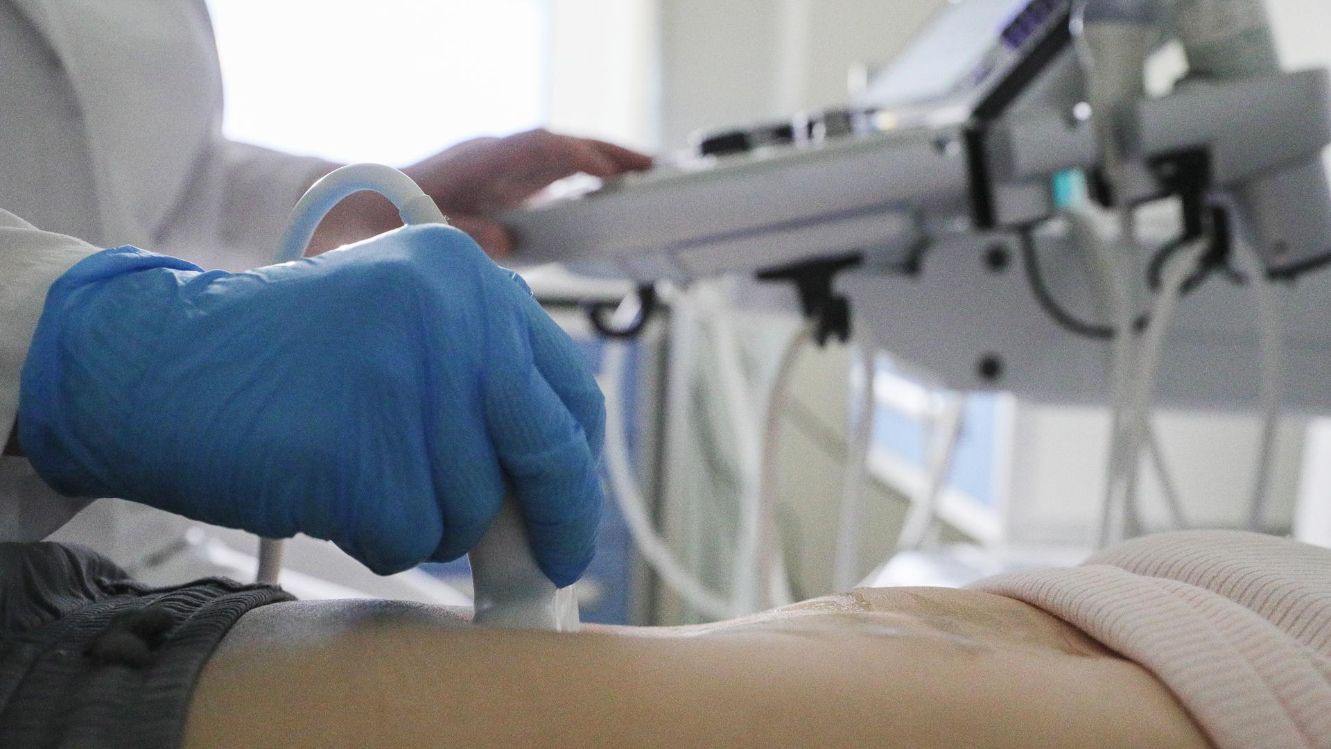 Фото: Bulkin Sergey/globallookpress.com