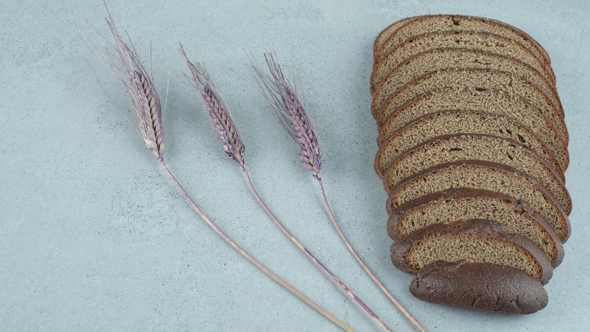 Фото: ru.freepik.com