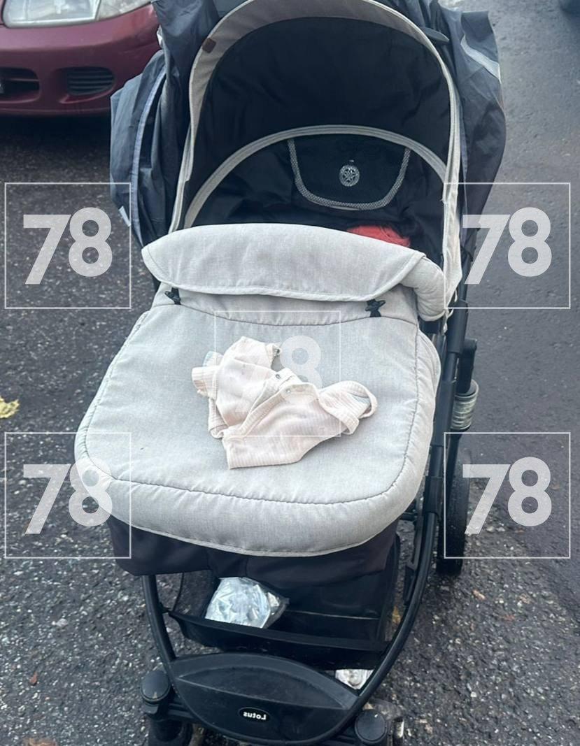 Источник: 78.ru