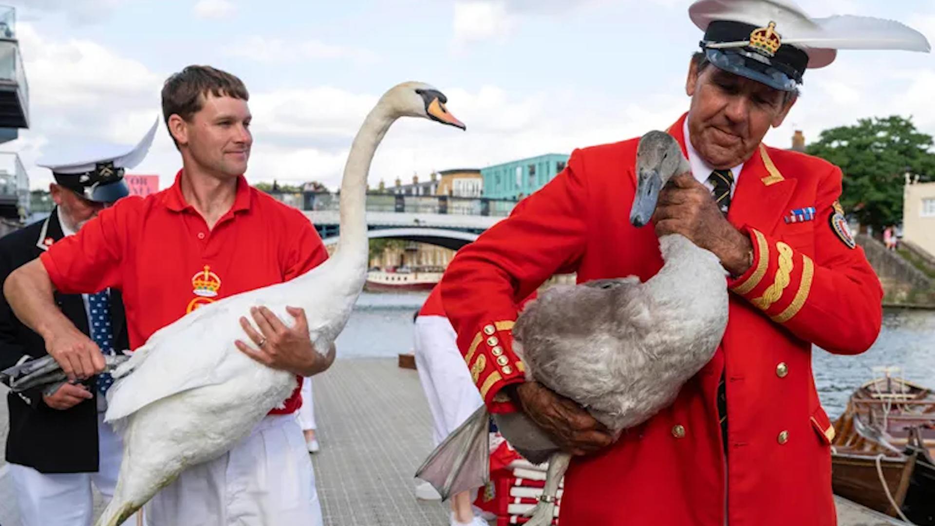 Фото: .seattletimes.com