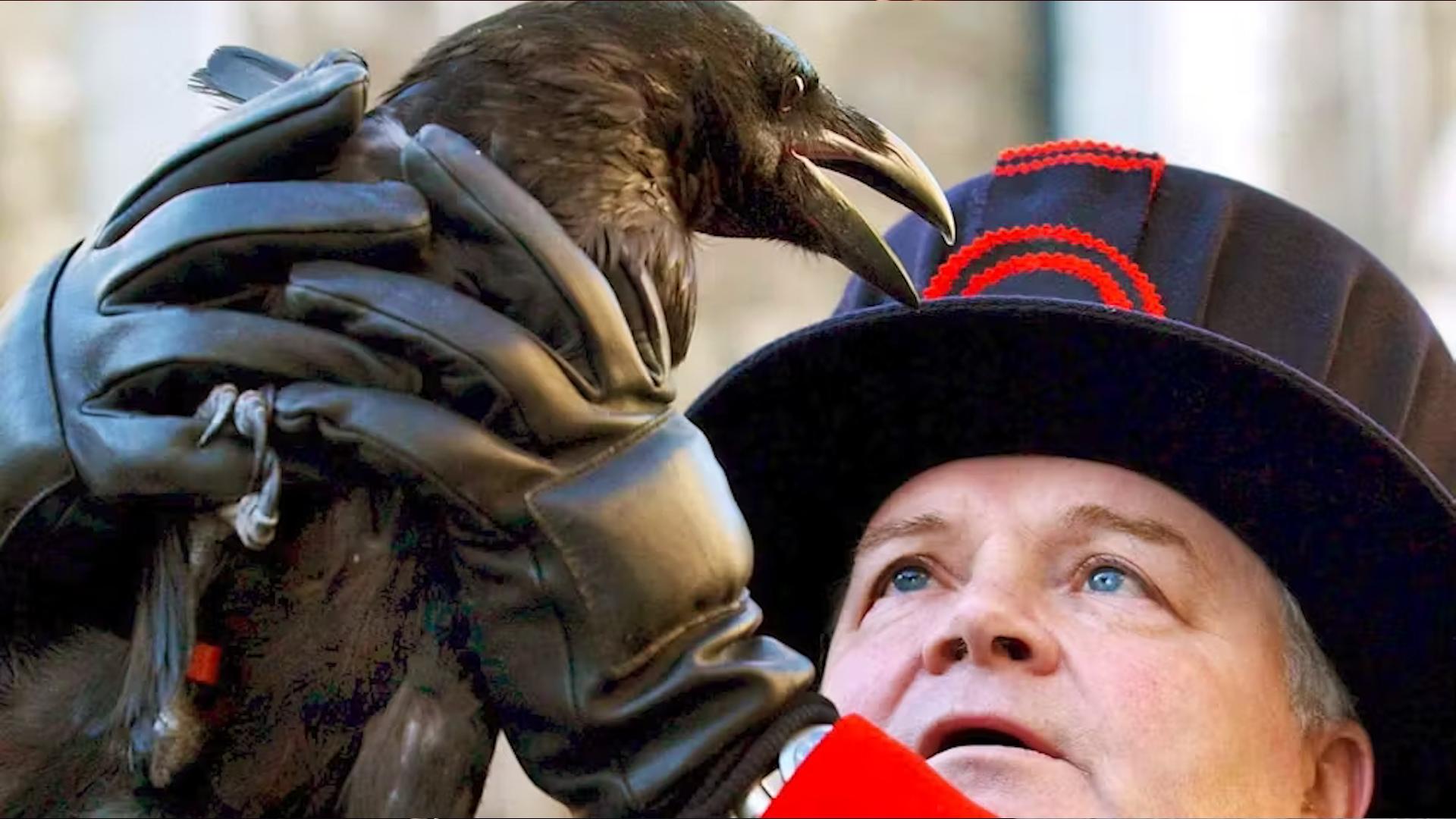 Фото: bluewin.ch