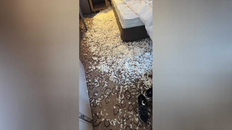 Фото: t.me/singerpenkin