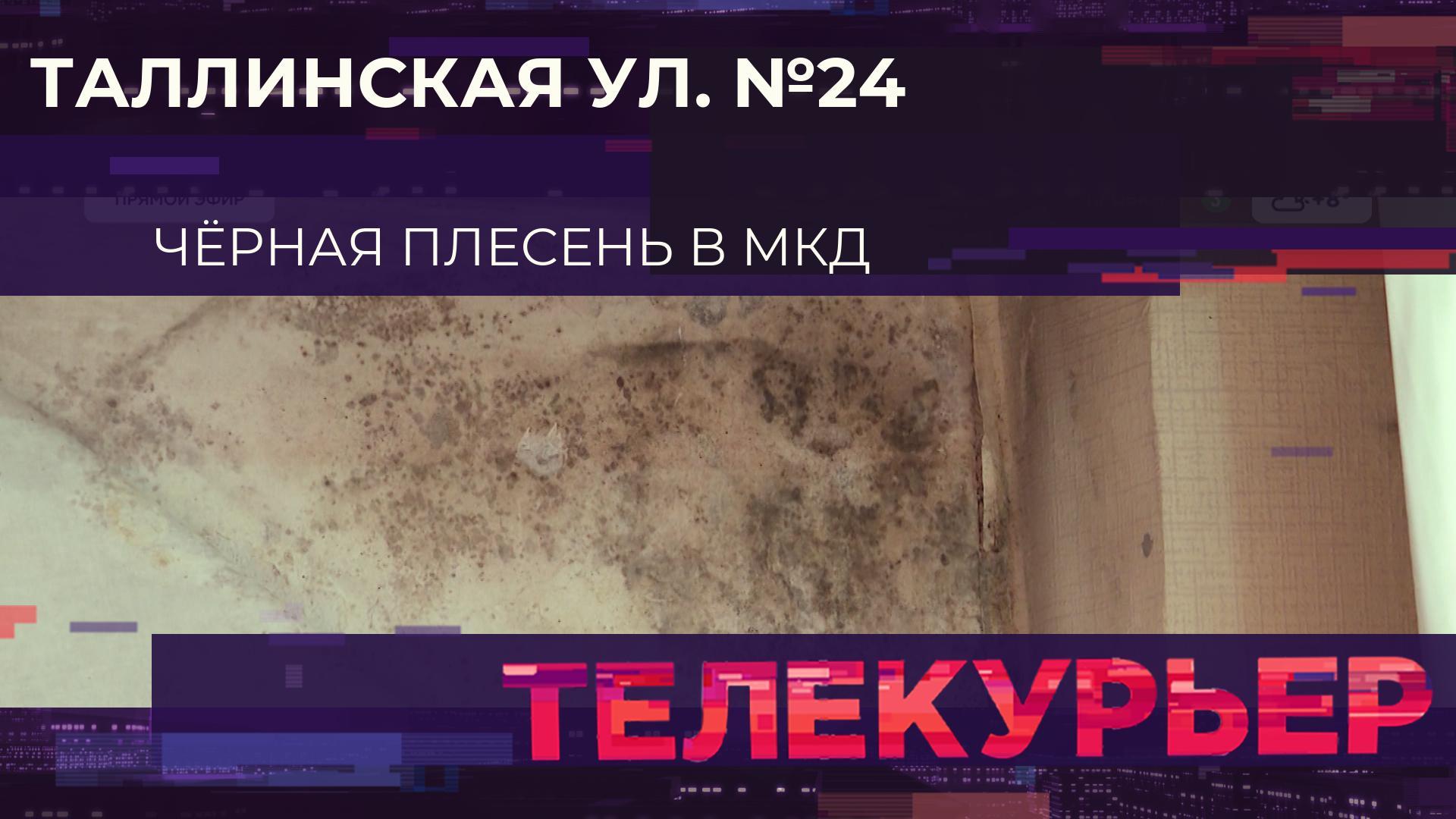 Телекурьер (20 октября 2025)