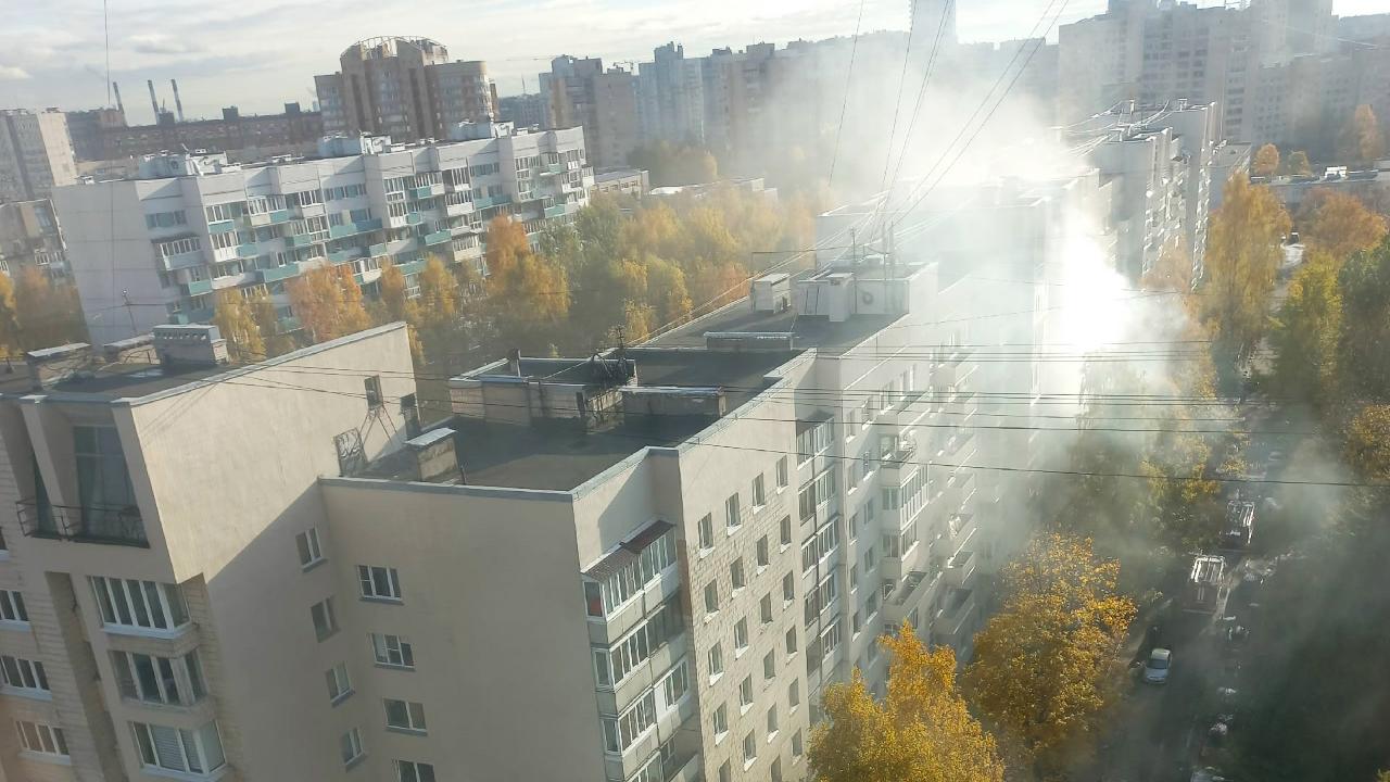 Фото: vk.com/vasilyevskiyostrov