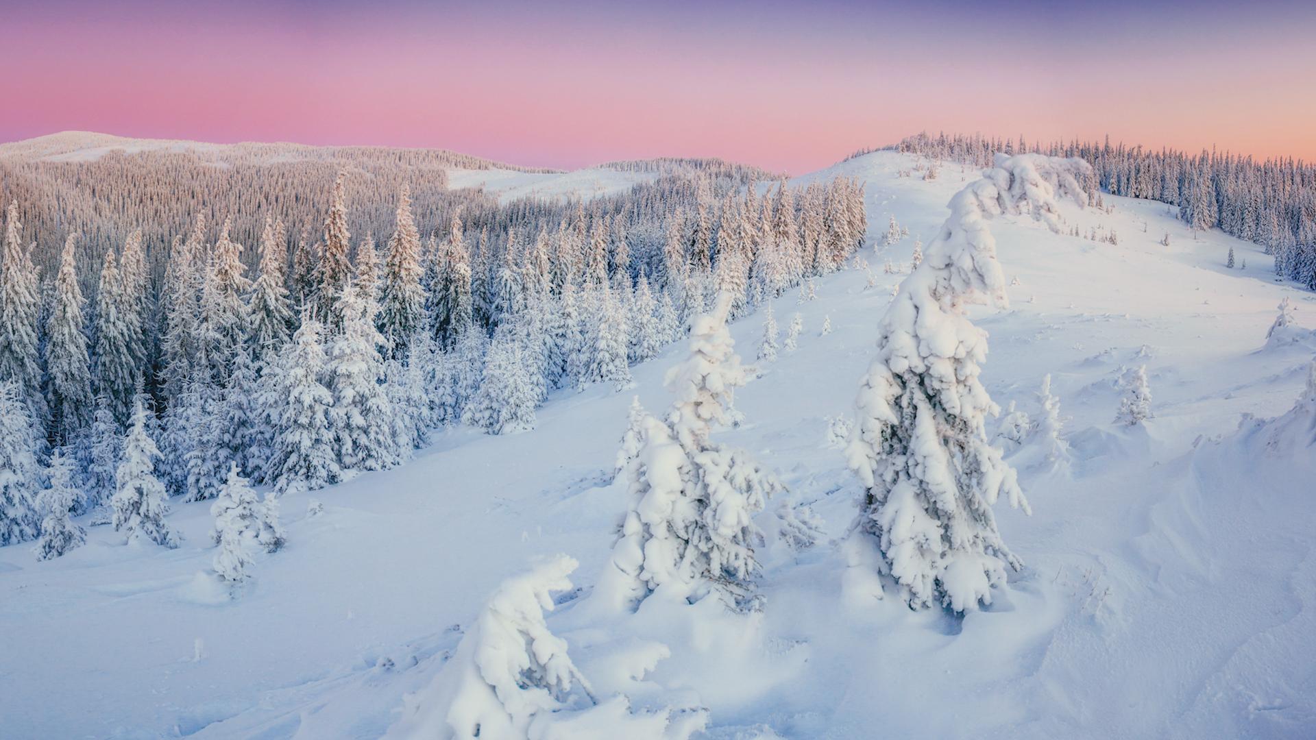 Фото: ru.freepik.com