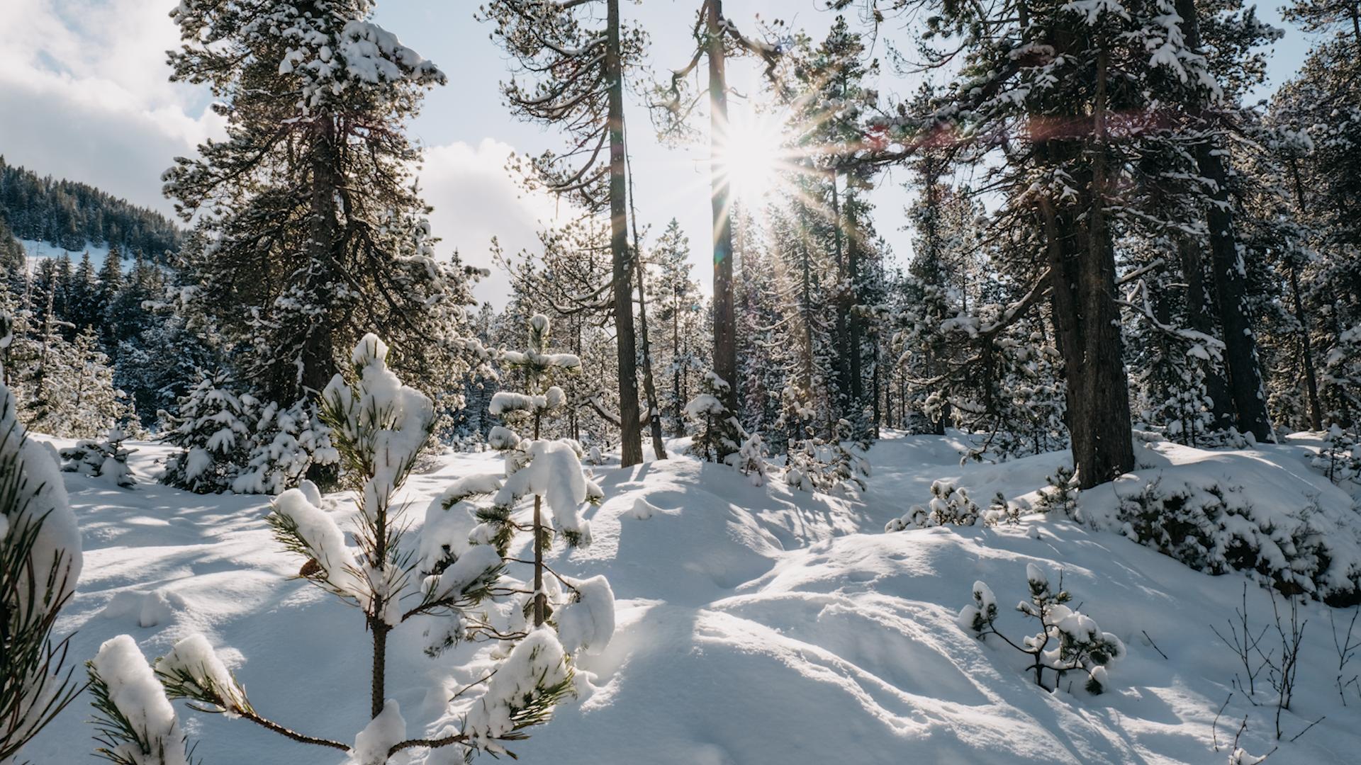 Фото: ru.freepik.com