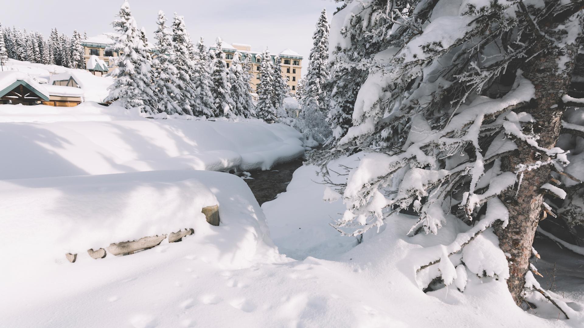 Фото: ru.freepik.com