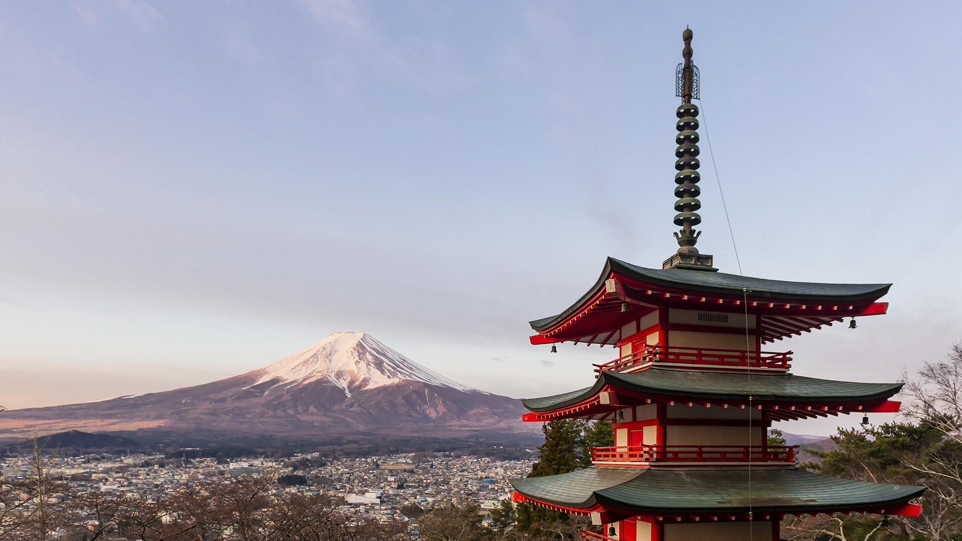 Фото: Moritz Wolf/globallookpress.com