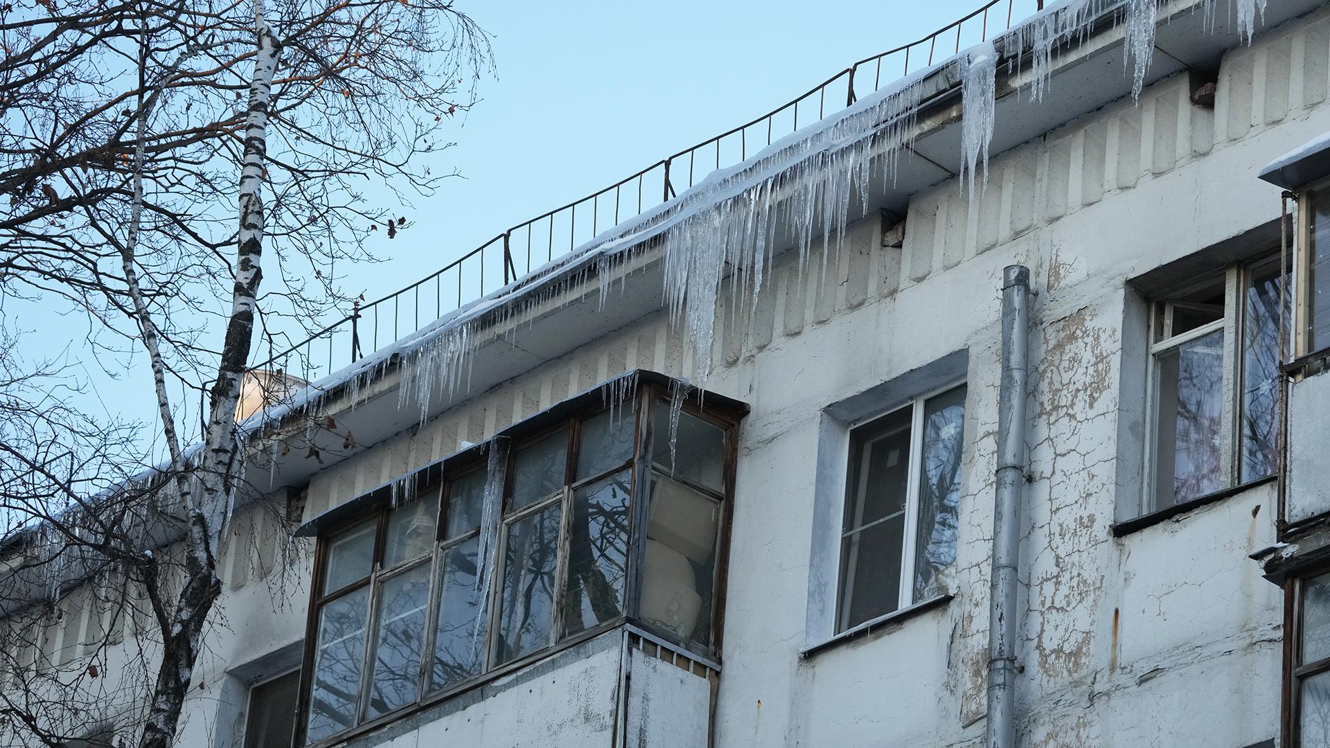 Фото: ИЗВЕСТИЯ/Дмитрий Коротаев