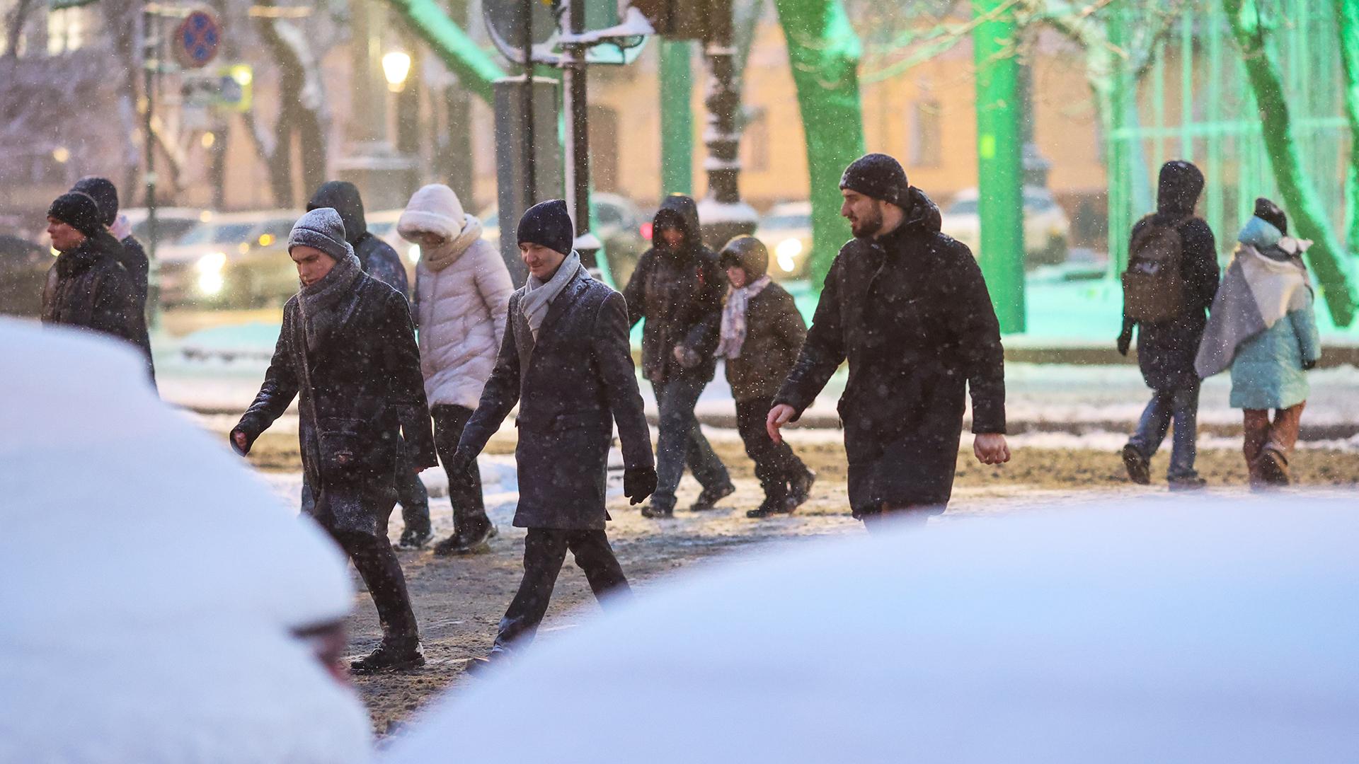 Фото: Belkin Alexey/globallookpress.com