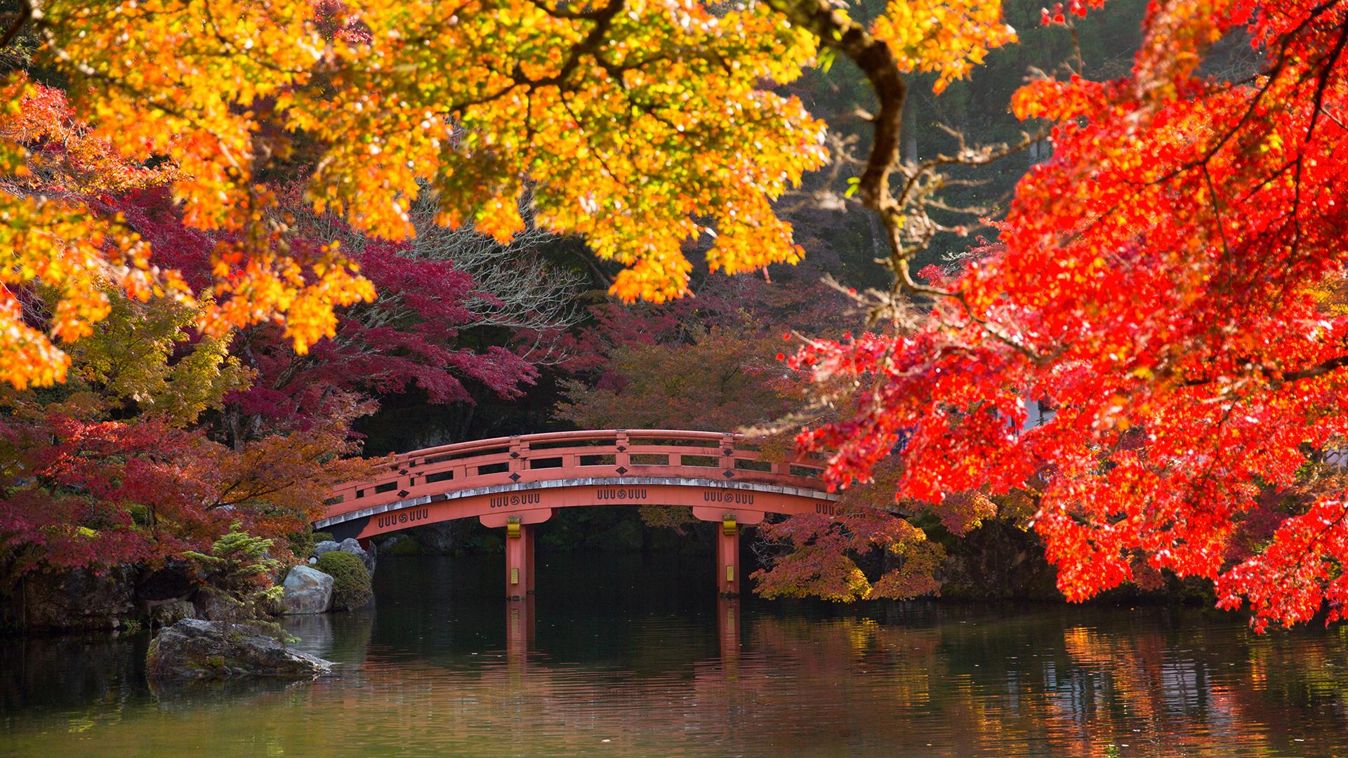 Фото: Stanislav Kogiku/globallookpress.com