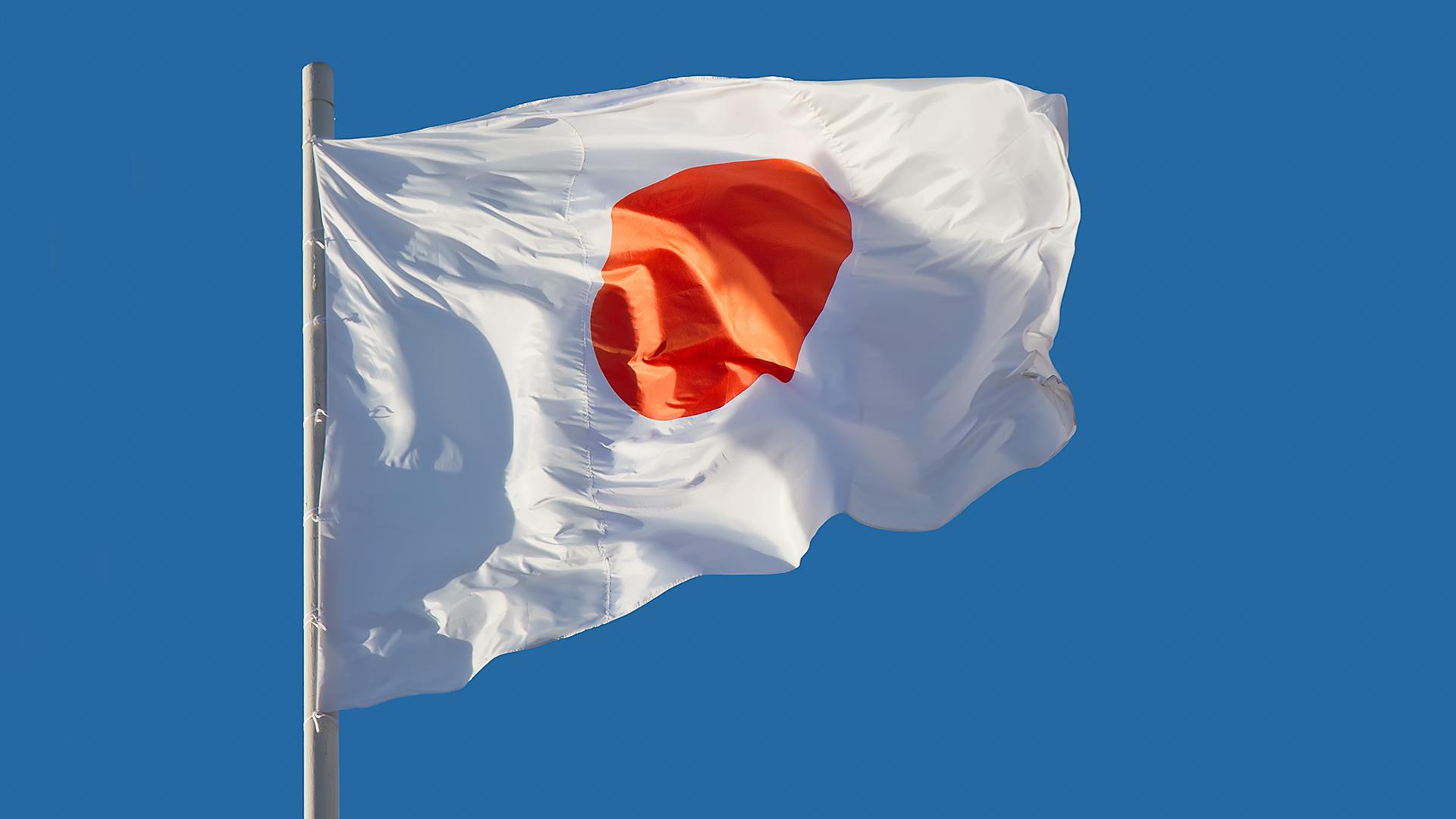 Фото: Ilya Galakhov/globallookpress.com