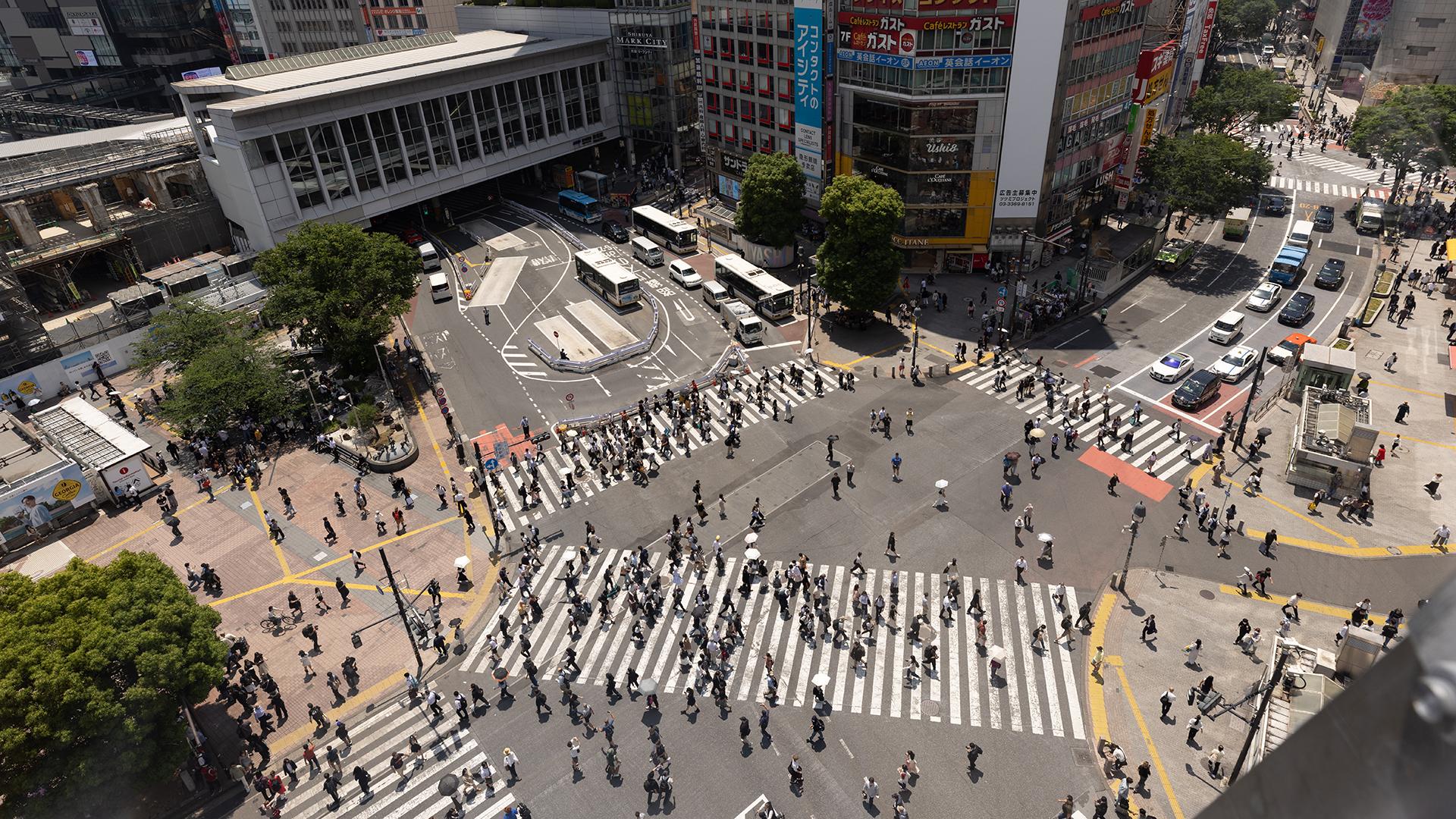 Фото: Shingo Tosha/globallookpress.com