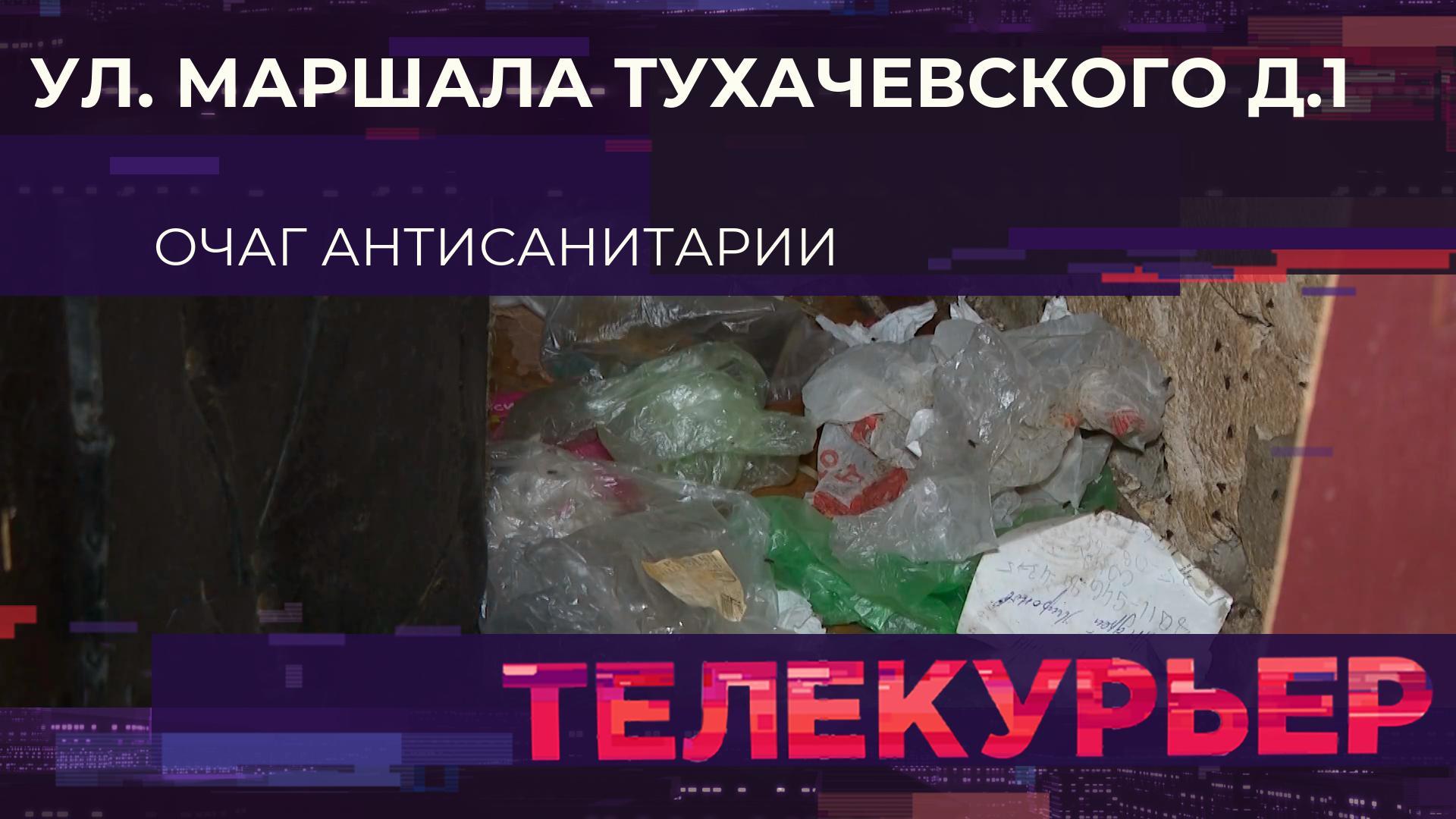 Телекурьер (23 октября 2025)