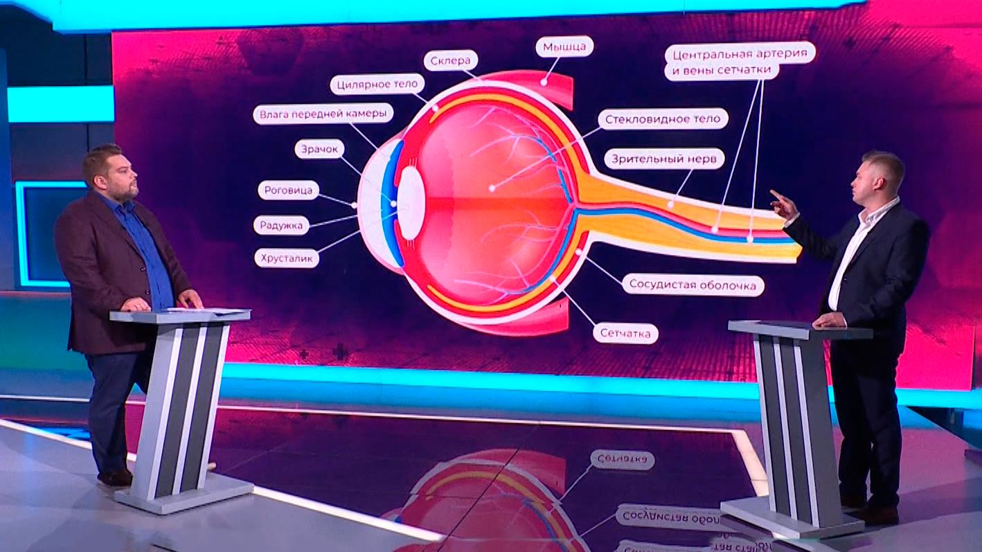 Здоровье (25 октября 2025)