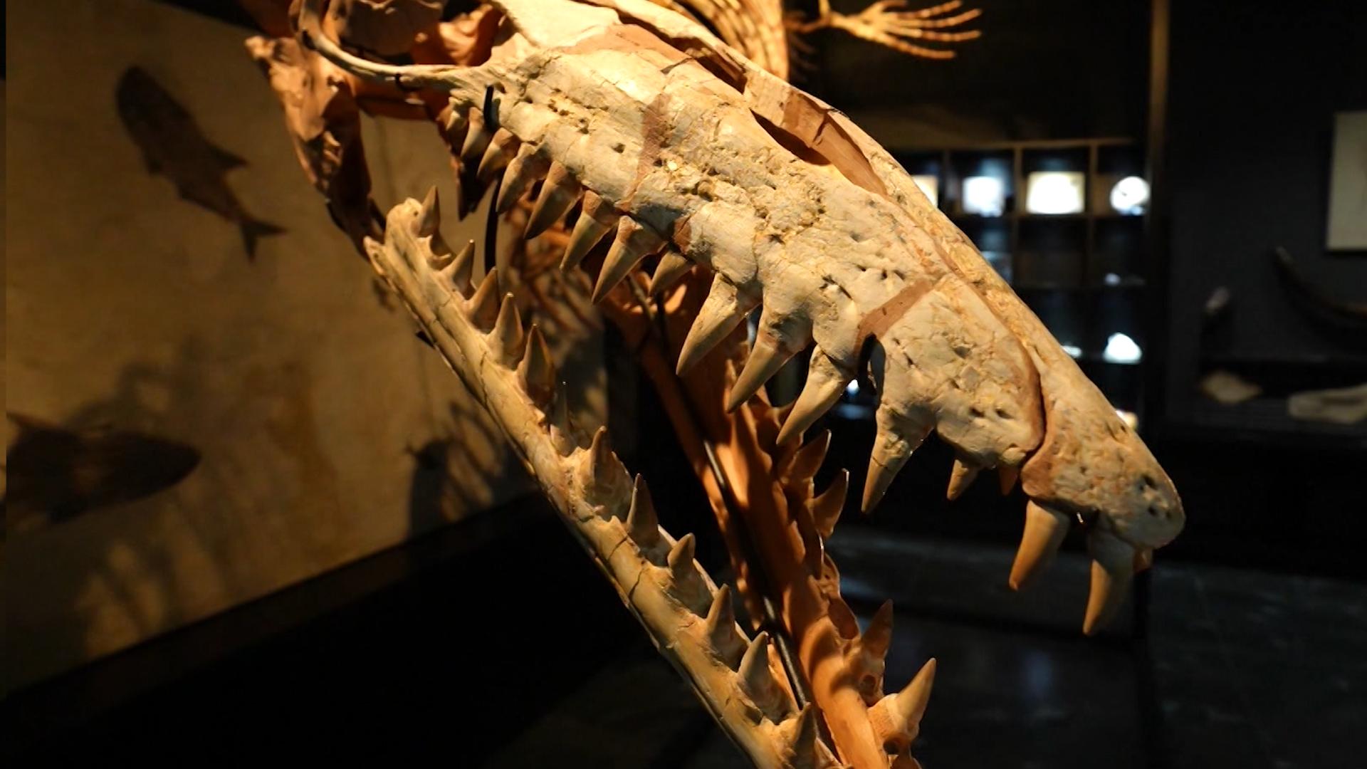 Новая туристская география д/ф (25 октября 2025)