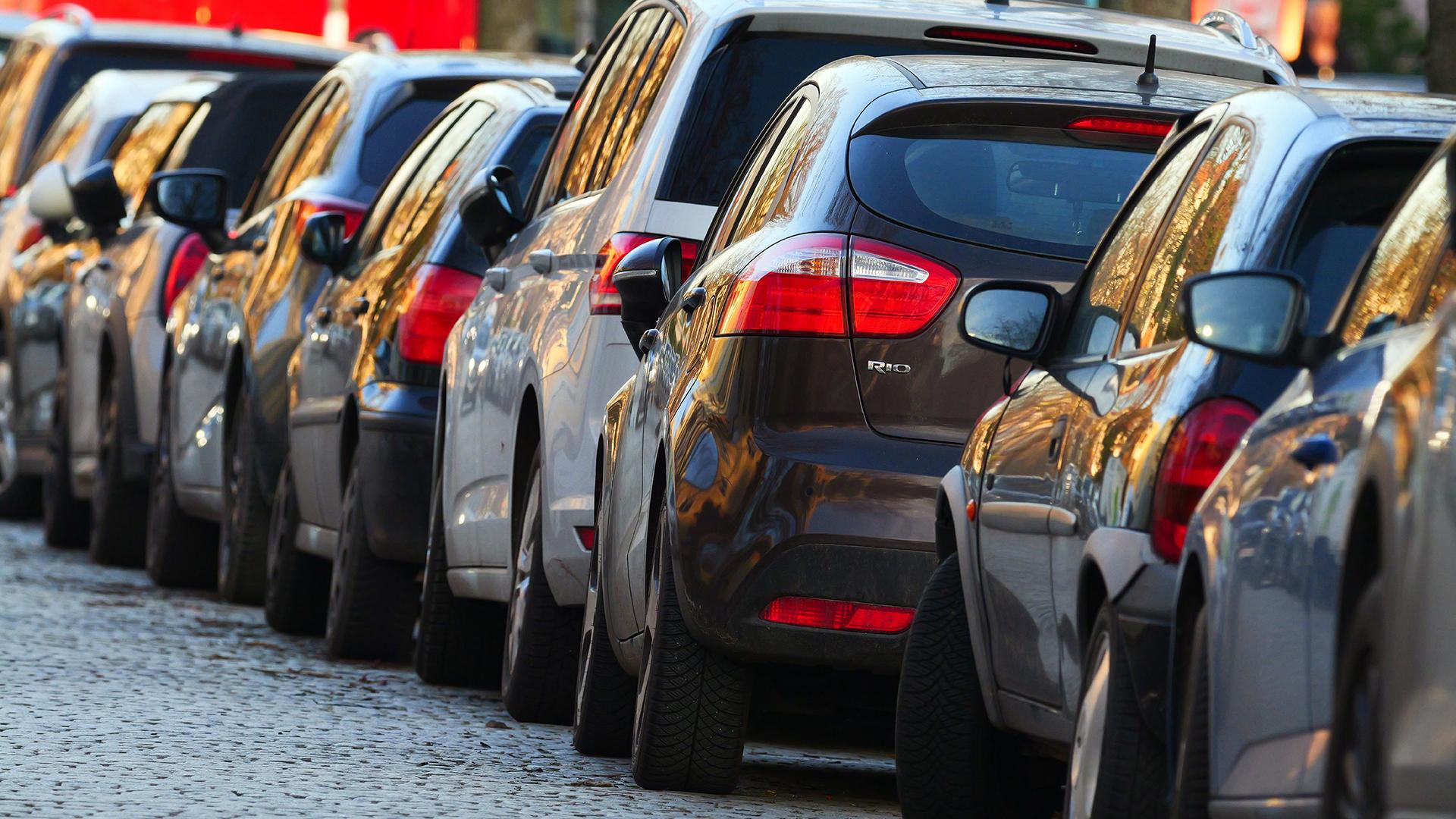 Фото: Wolfram Steinberg/globallookpress.com