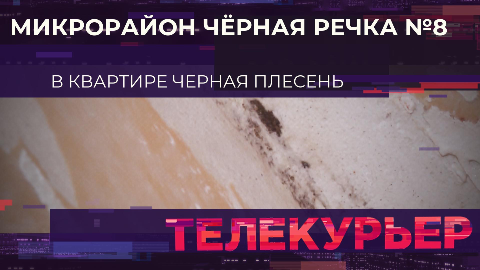 "Телекурьер" (3 октября 2025)