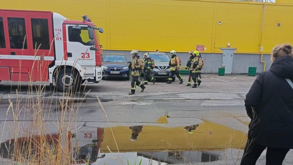 Фото: t.me/primor_online