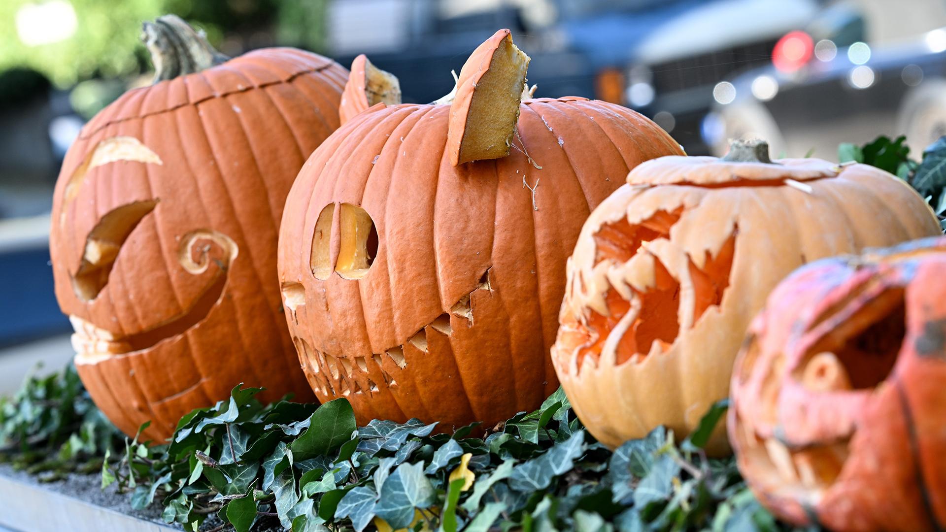 Фото: Arne Dedert/globallookpress.com