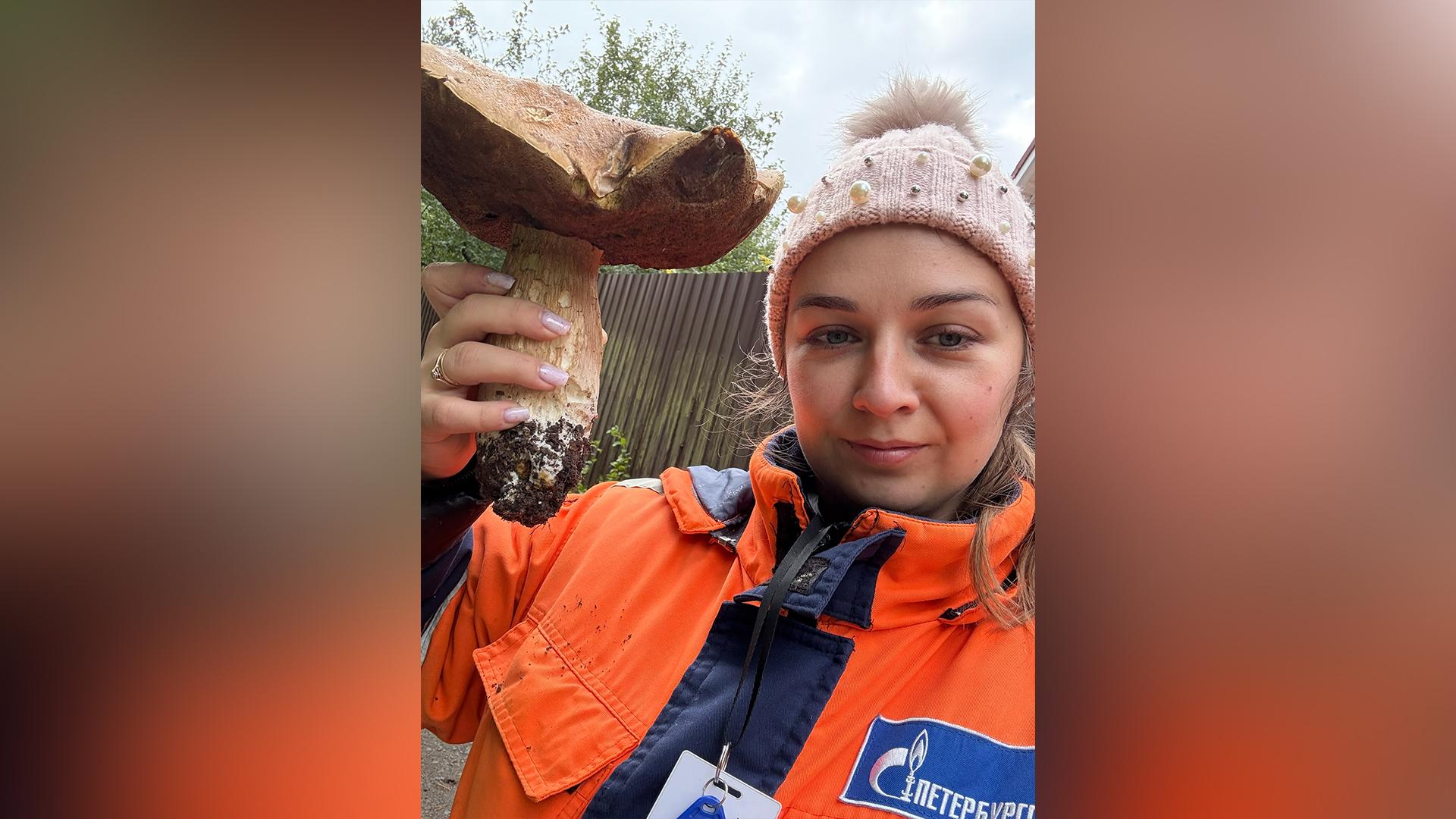 Фото: vk.com/Грибы и Грибники СПб